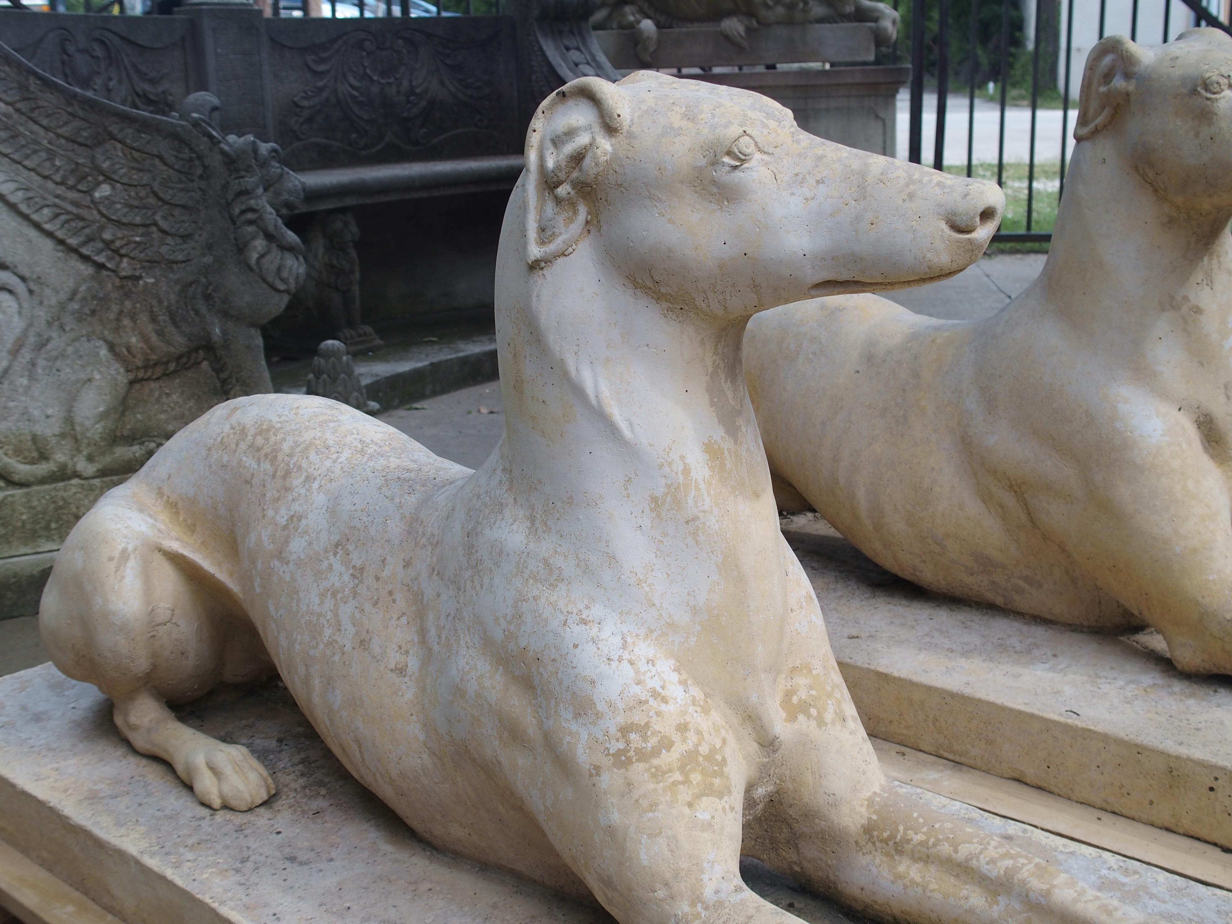 Pair of Composite Stone Greyhounds from England 5