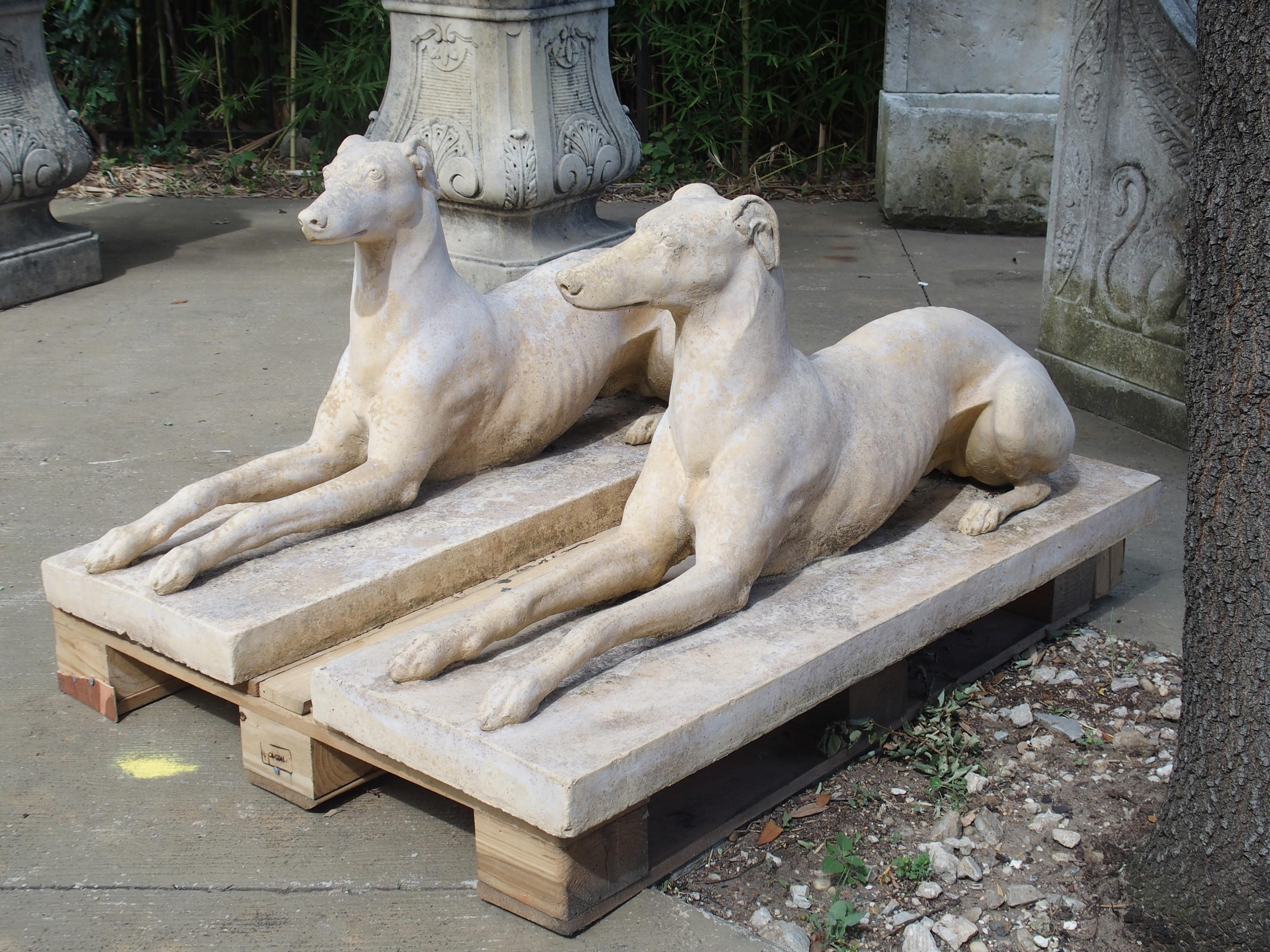 Pair of Composite Stone Greyhounds from England 8