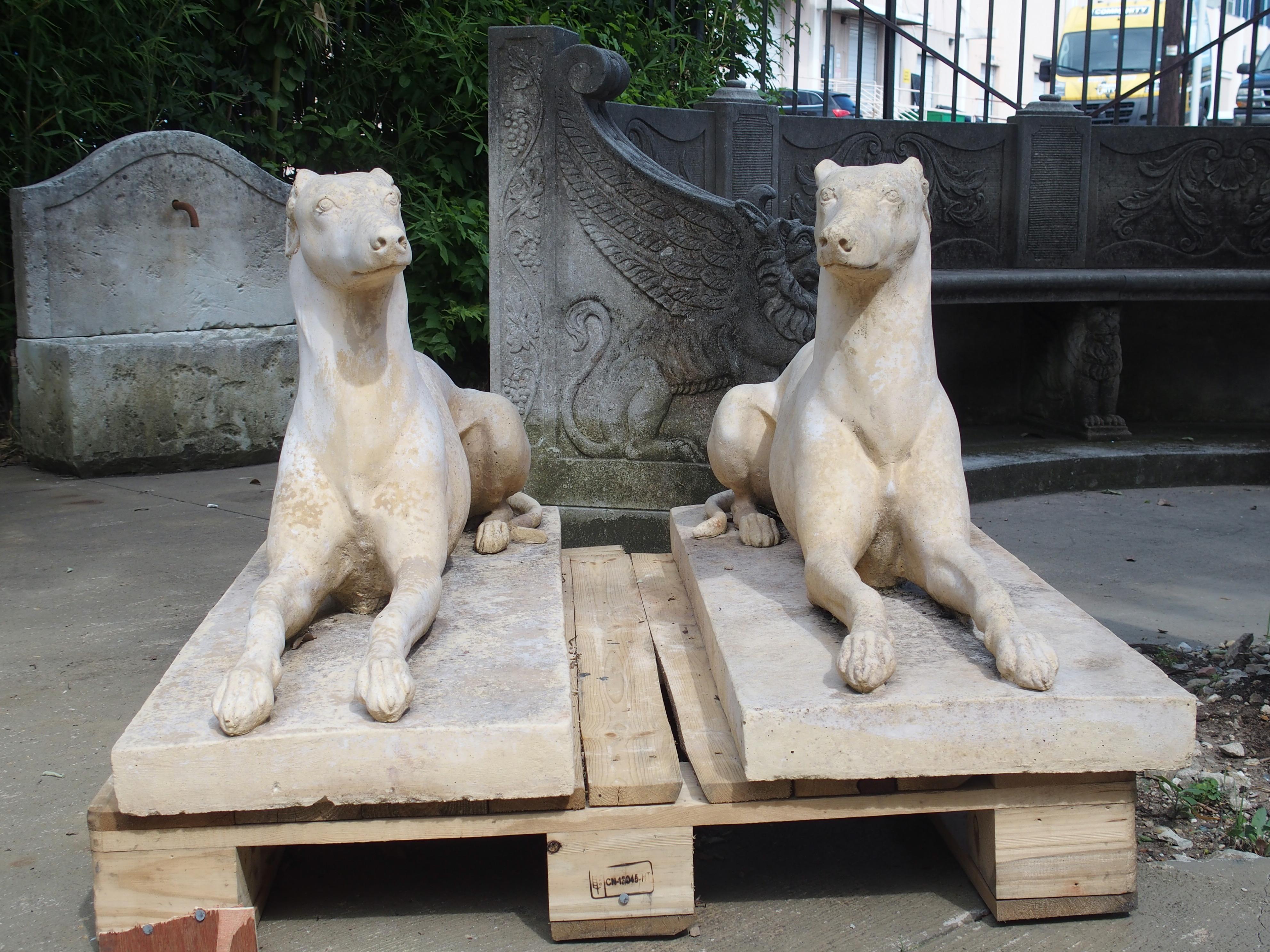 English Pair of Composite Stone Greyhounds from England