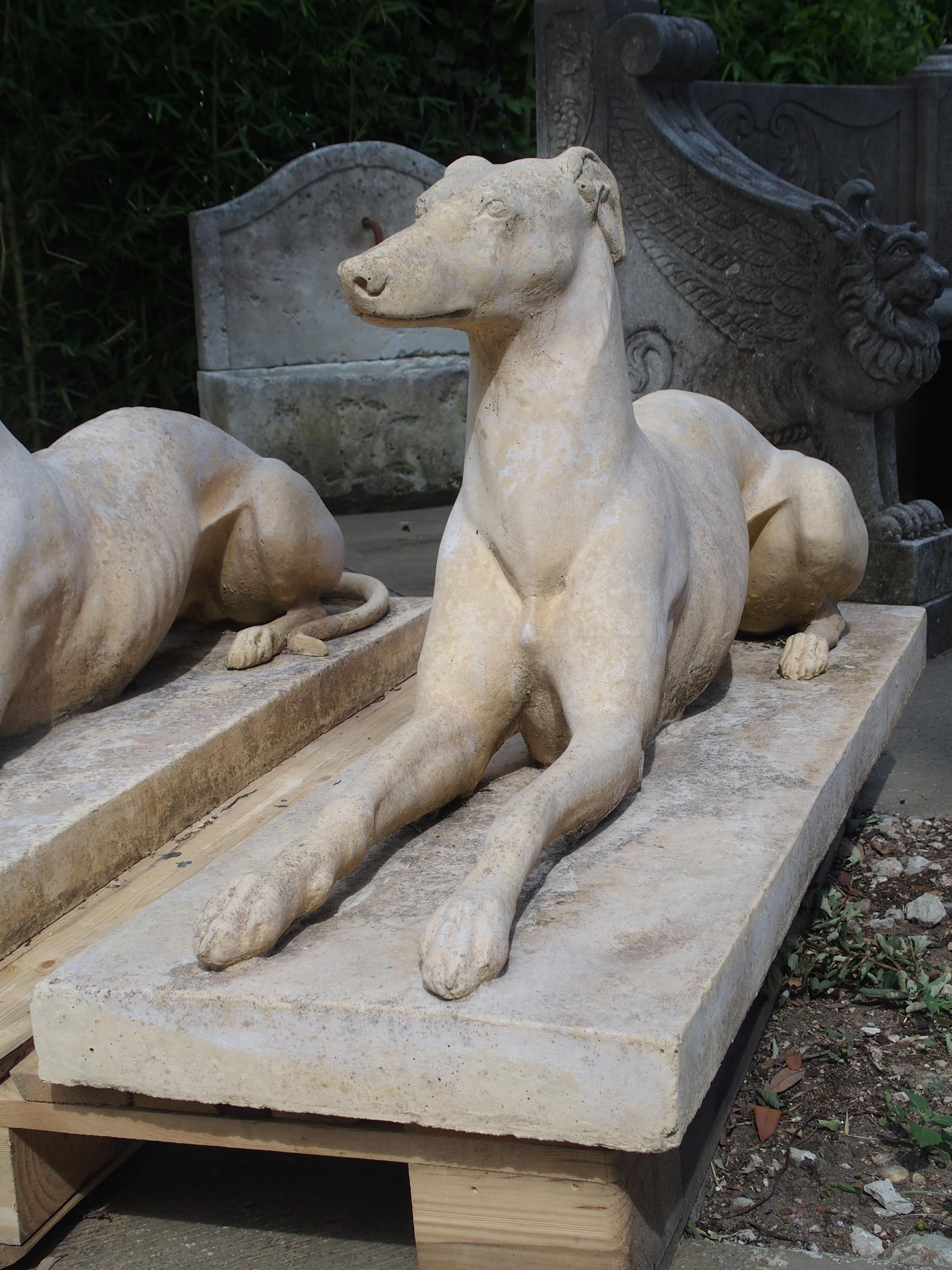 Contemporary Pair of Composite Stone Greyhounds from England