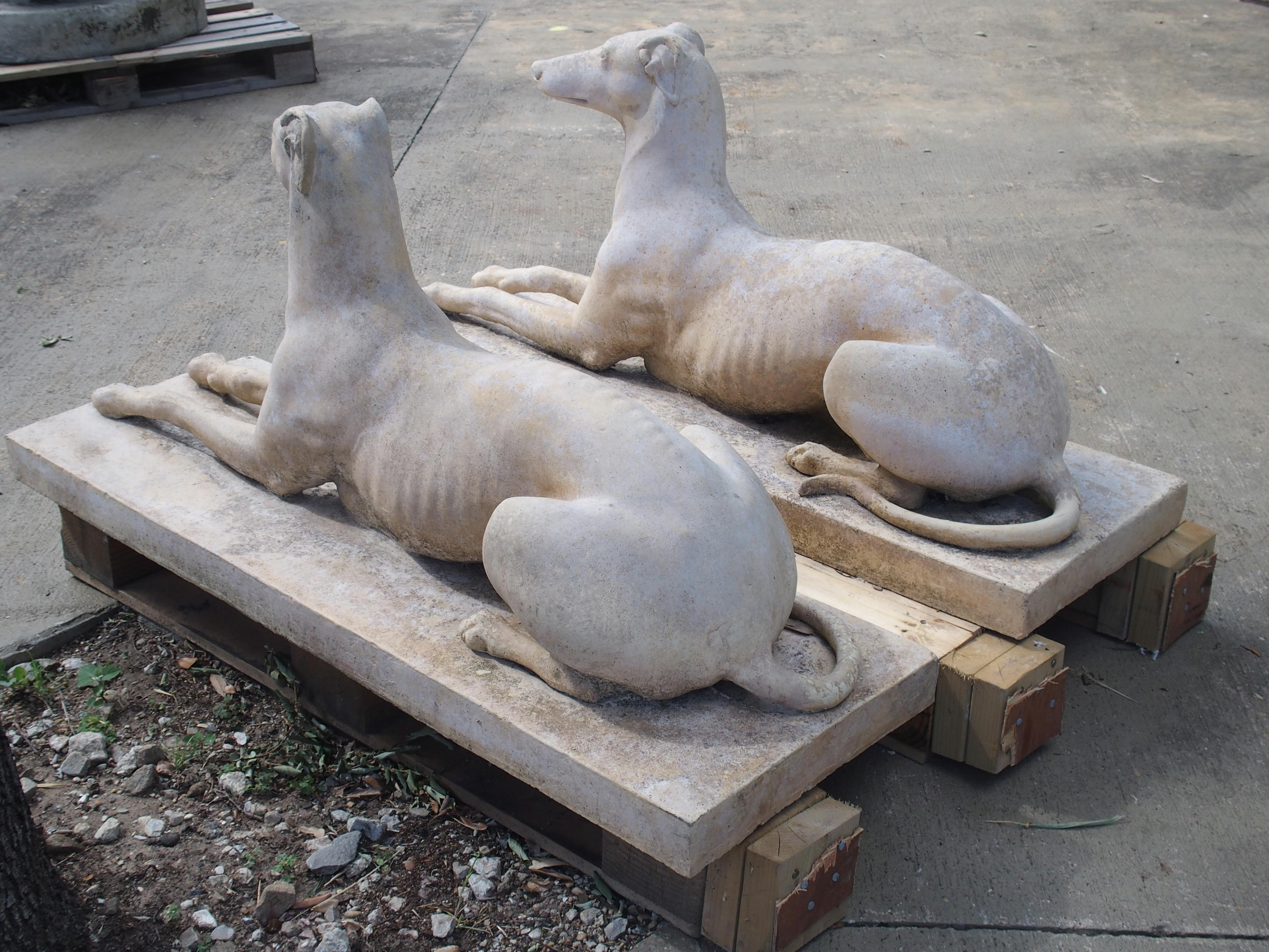 Clay Pair of Composite Stone Greyhounds from England