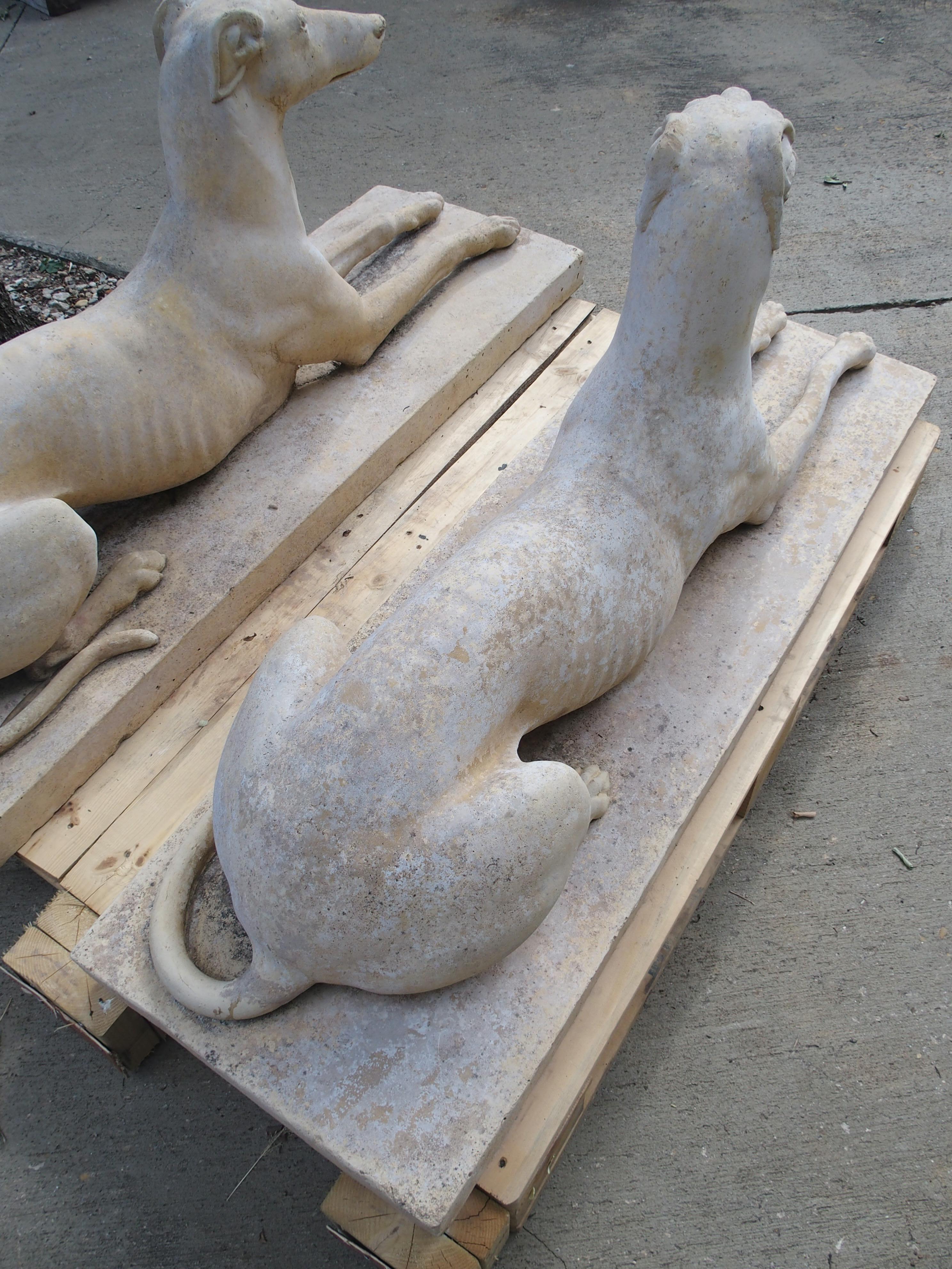Pair of Composite Stone Greyhounds from England 2