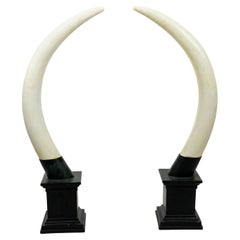 Pair of Composition Horns on Stands