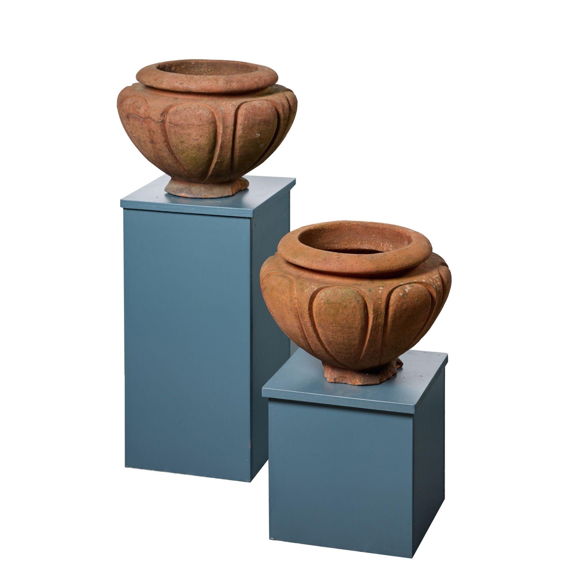 Anglais Paire de pots de jardin en terre cuite 'Leix' de Compton Pottery en vente
