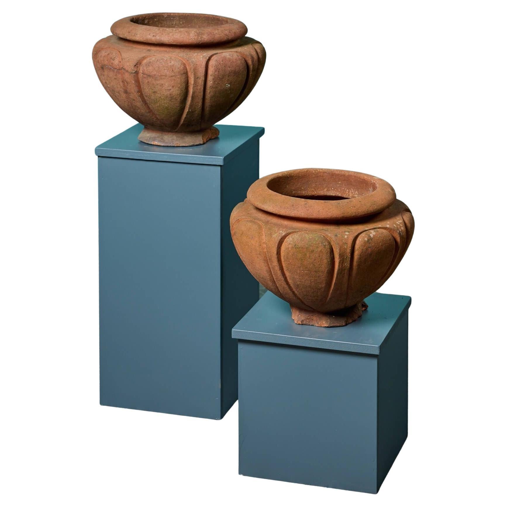 Paire de pots de jardin en terre cuite 'Leix' de Compton Pottery en vente