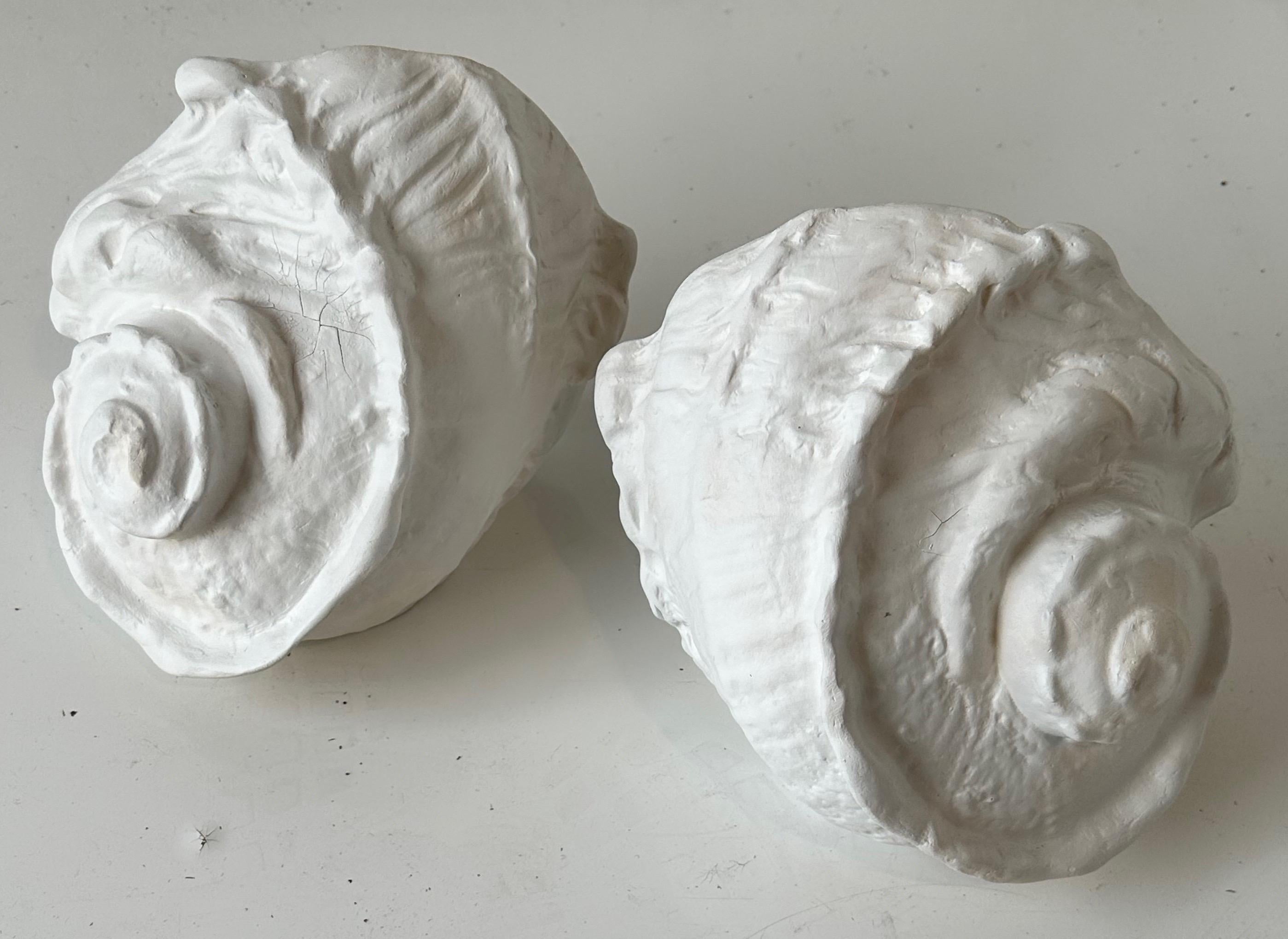Pair Of “Conch” Plaster Sconces in the Style of Serge Roche 2