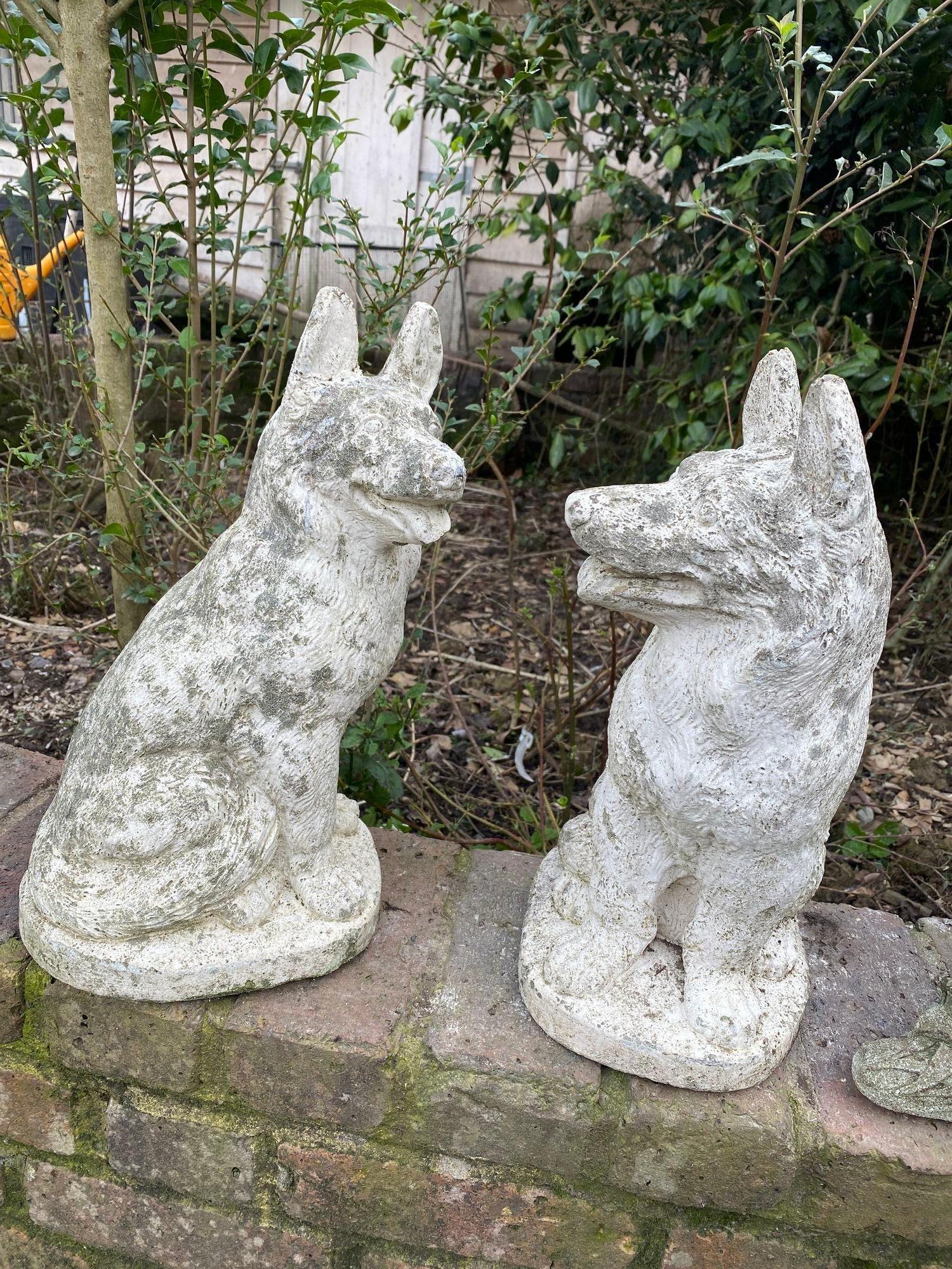 Pair of Concrete Shepherd Dogs, English mid 20th Century For Sale 5