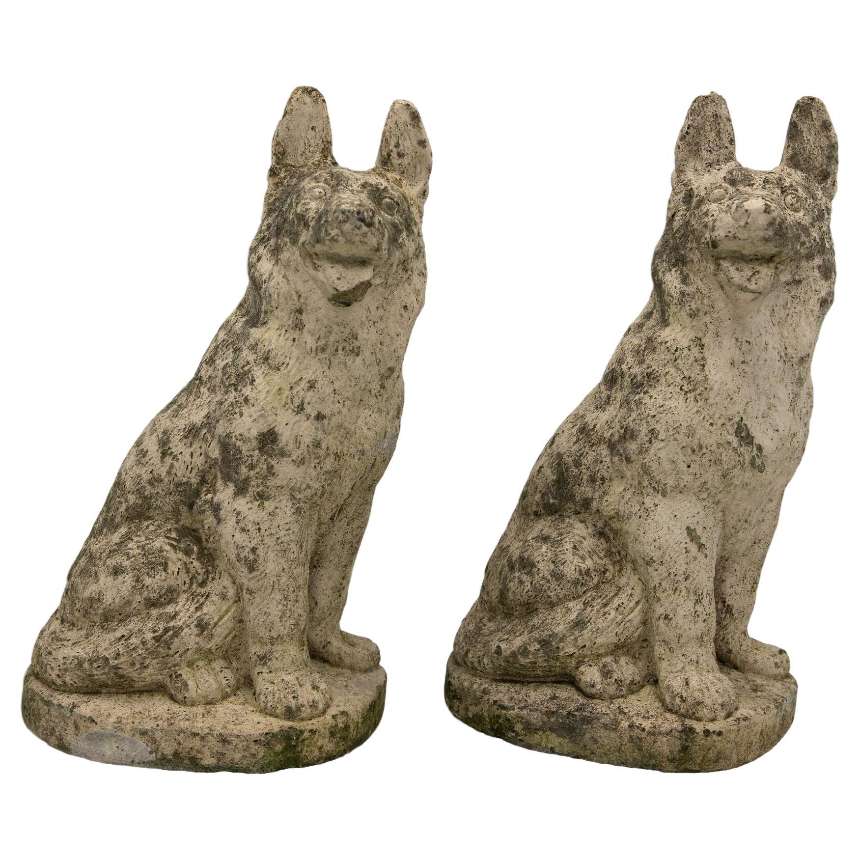 Paar Concrete Hirtenhunde, englisch, Mitte des 20. Jahrhunderts