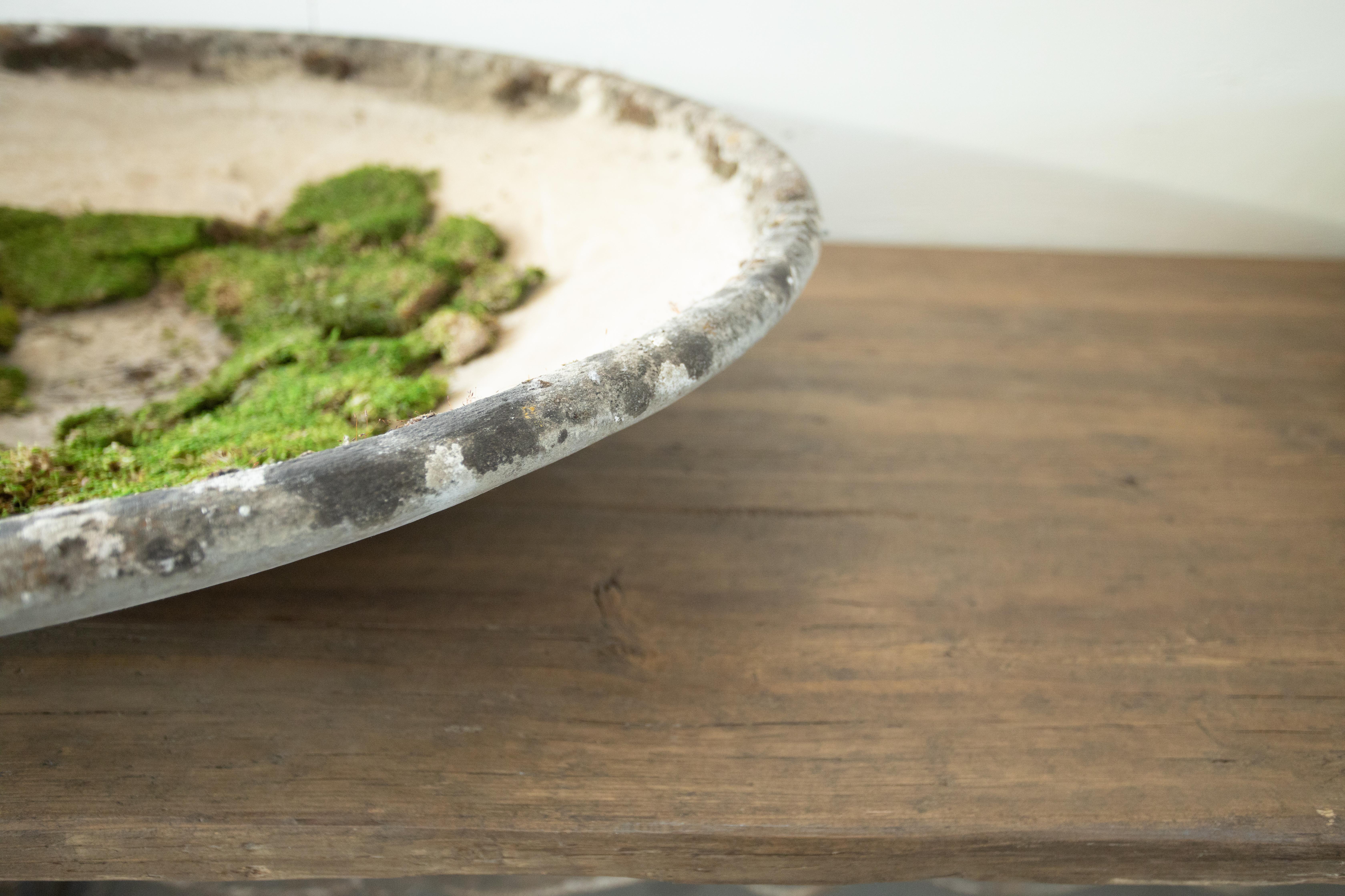 This pair of concrete planters by the famed Willy Guhl were purchased in France, Spring 2024. Although their material is concrete they are lightweight. Each saucer features it's own unique character with moss growth and coloration from age. Could