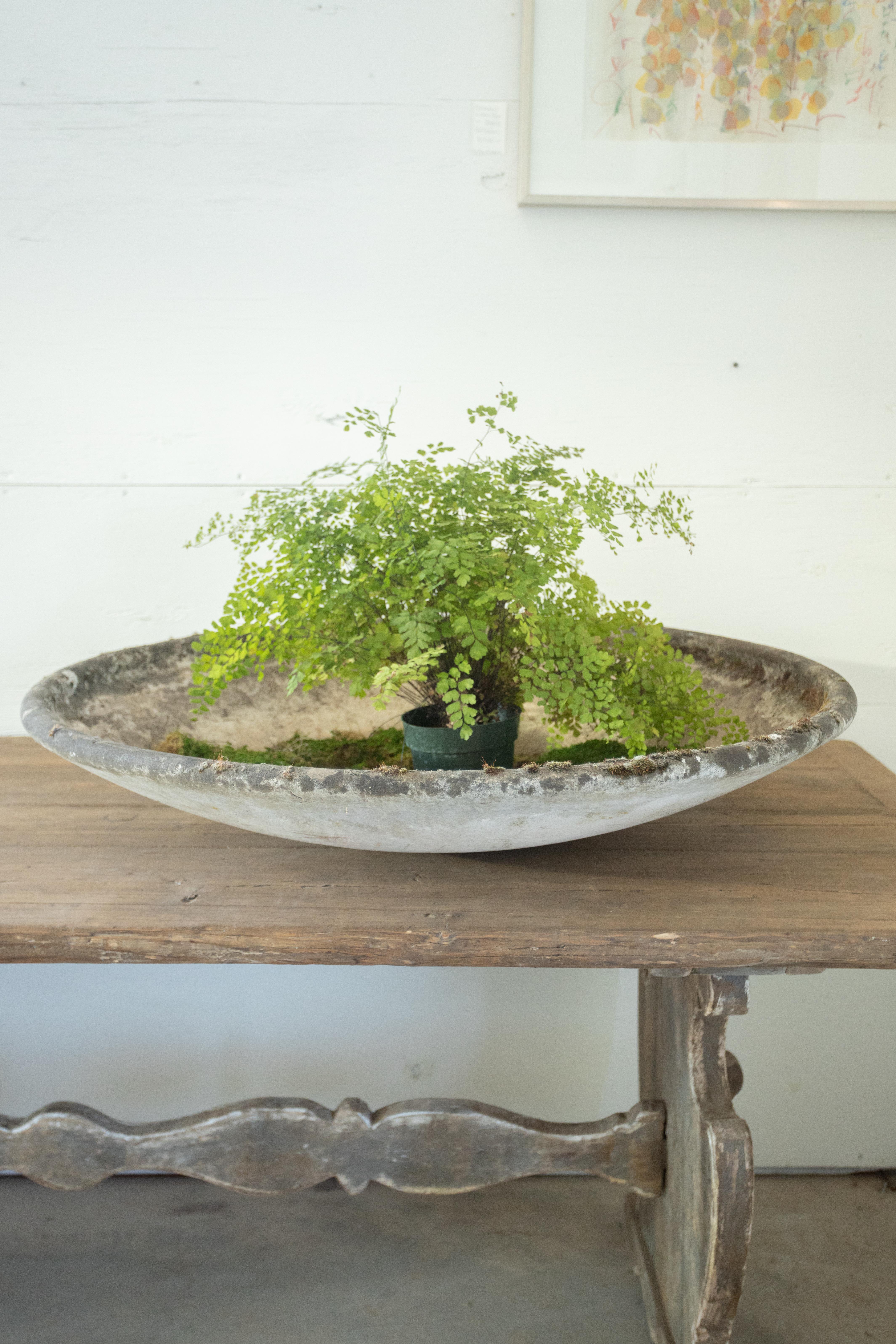 French Pair of Concrete Willy Guhl Saucer Planters