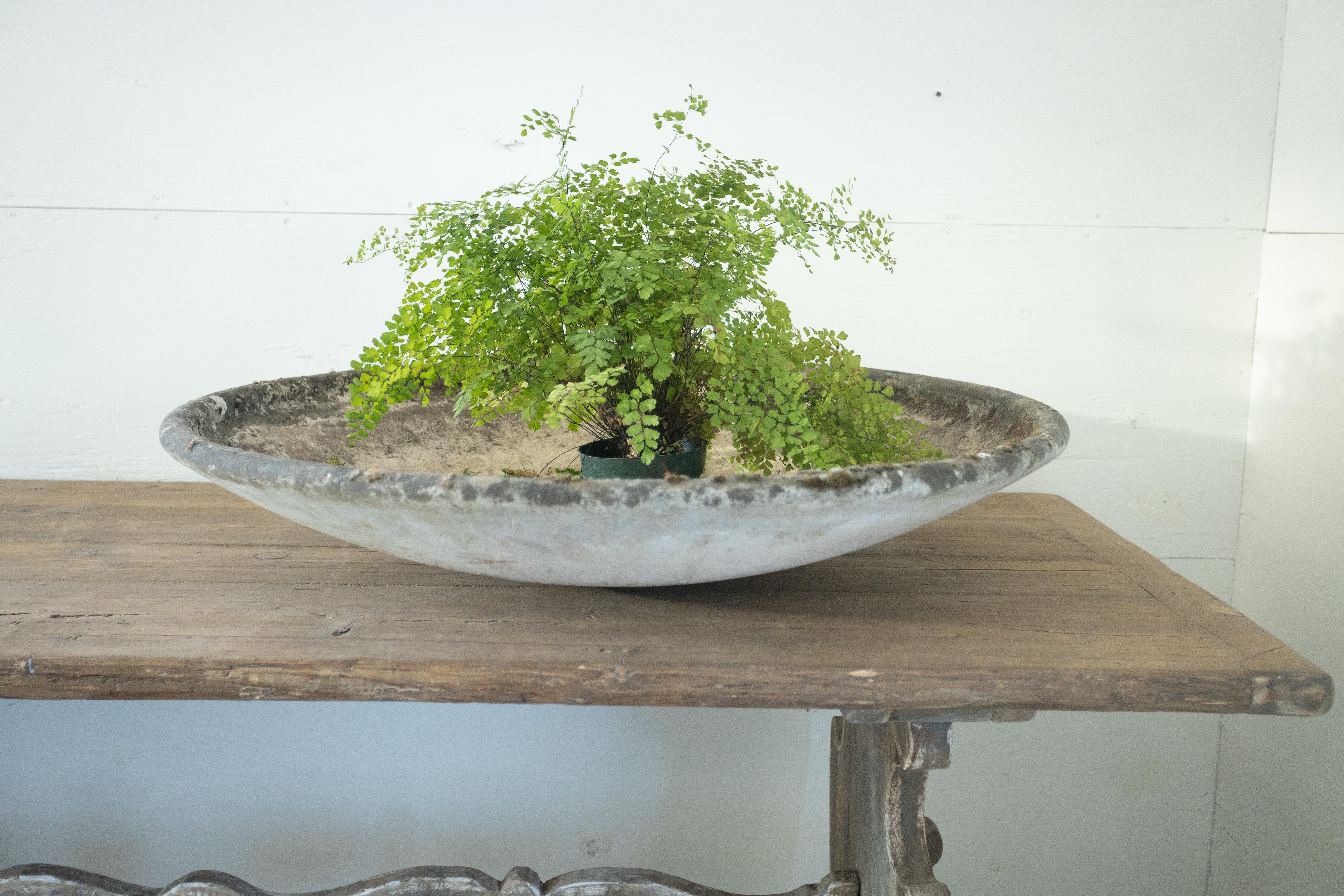Pair of Concrete Willy Guhl Saucer Planters In Good Condition In Atlanta, GA