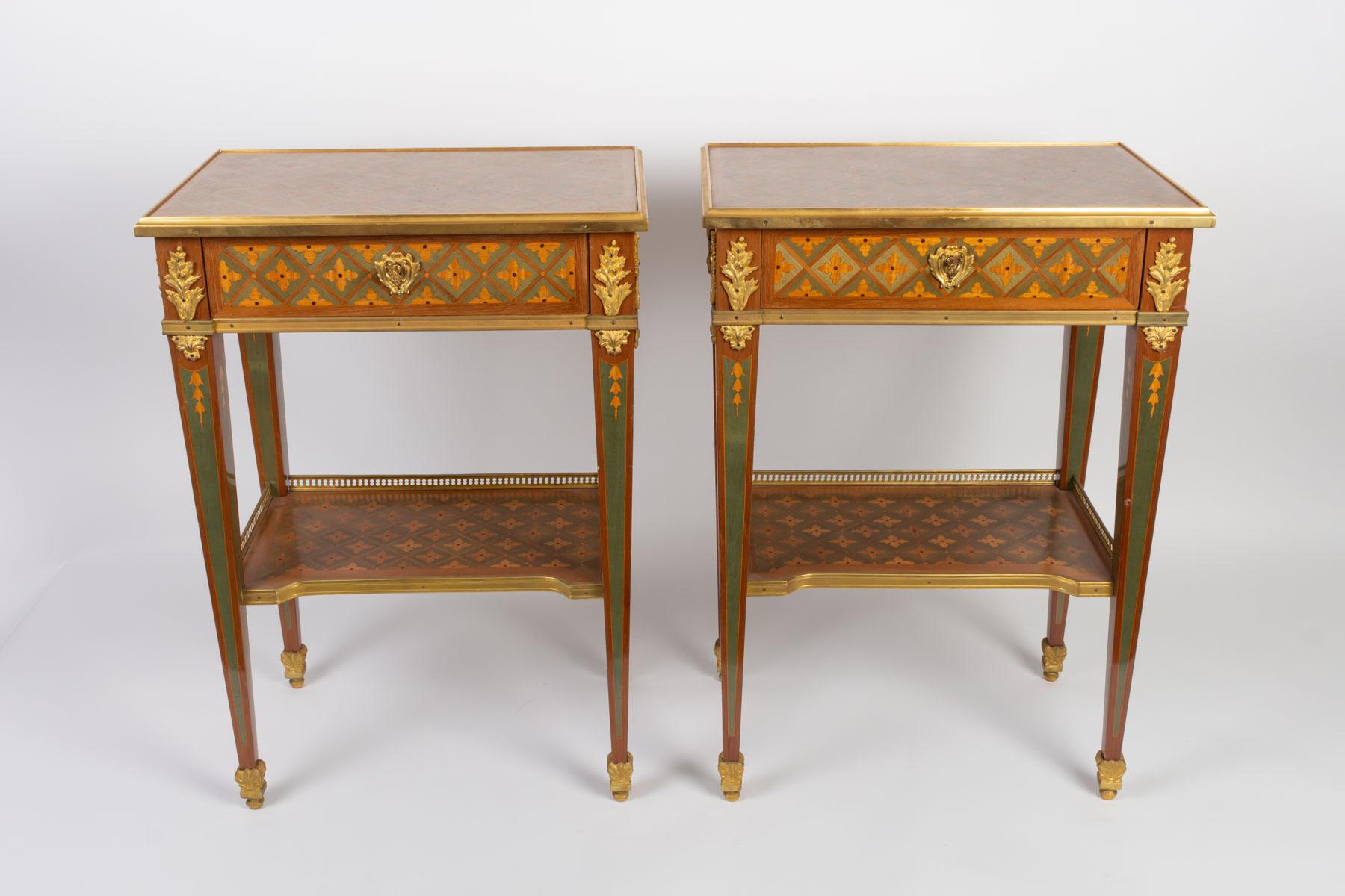 Bronze Pair of Consoles in Precious Wood Marquetry
