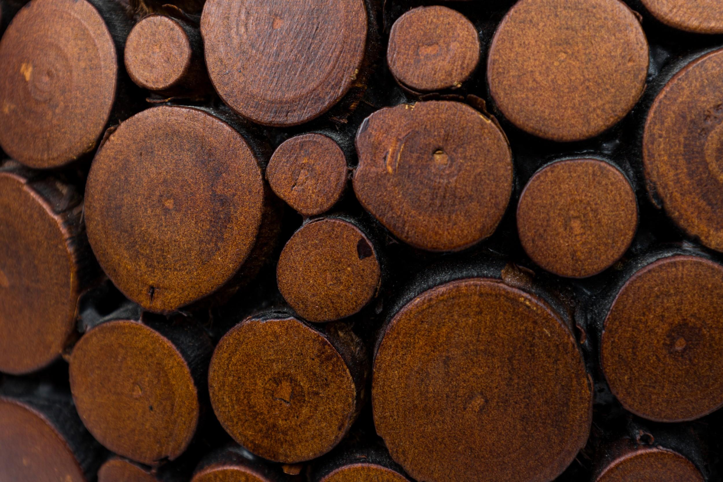 Ein Paar Contemporary American Sphere Sculptures aus geschnitztem Holz im Angebot 1