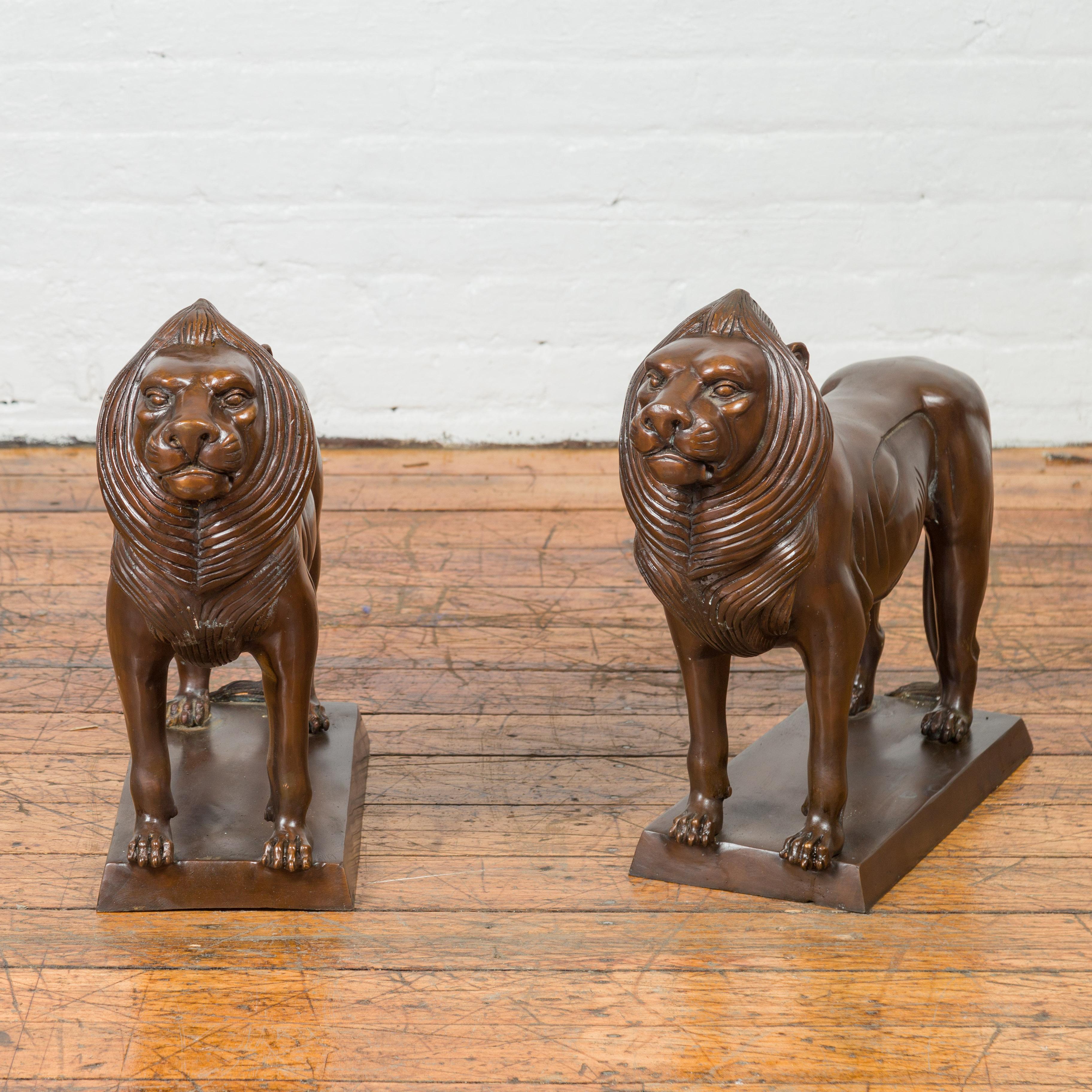 A pair of contemporary bronze lion sculptures on bases, with dark patina. Created with the traditional technique of the lost-wax (à la cire perdue) that allows a great precision and finesse in the details, each of this pair of animal sculptures