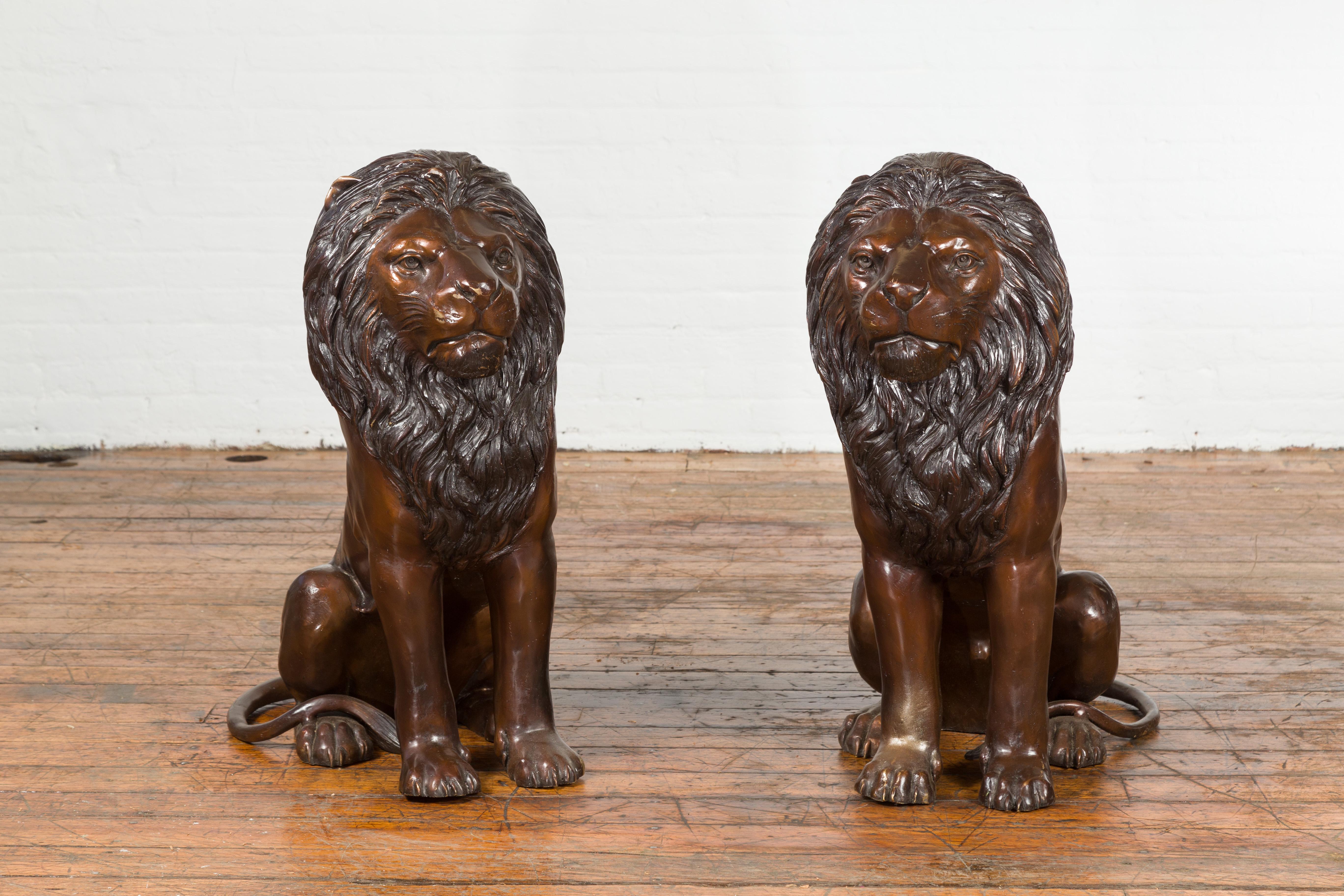 A pair of contemporary cast bronze outdoor lions with dark bronze patina. Created with the traditional technique of the lost-wax (à la cire Perdue) that allows a great precision in the details, this pair of outdoor lions attracts our attention with