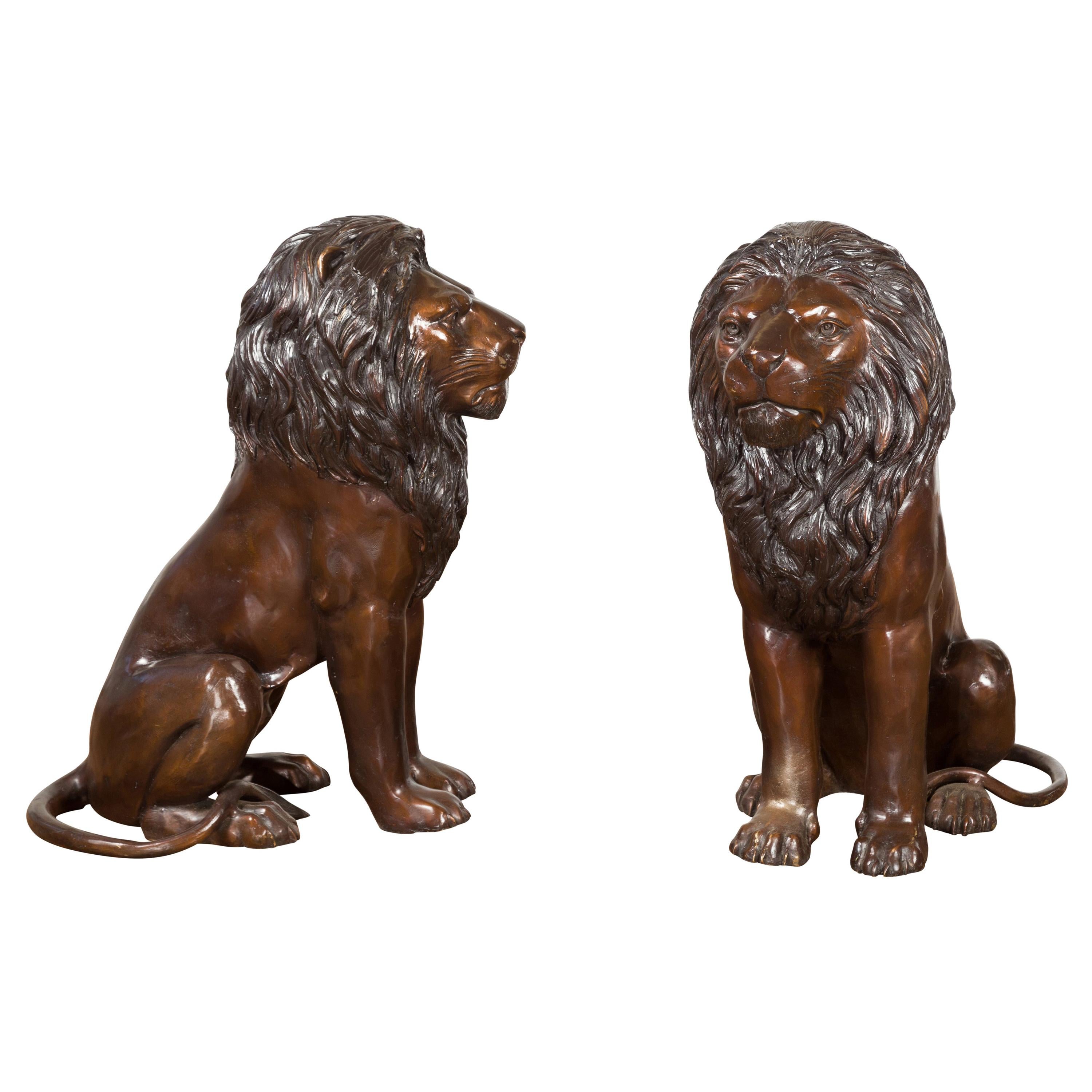 Pair of Contemporary Lost Wax Cast Outdoor Sitting Lions with Dark Bronze Patina