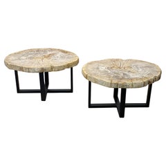 Pair of Contemporary Petrified Wood Side Tables