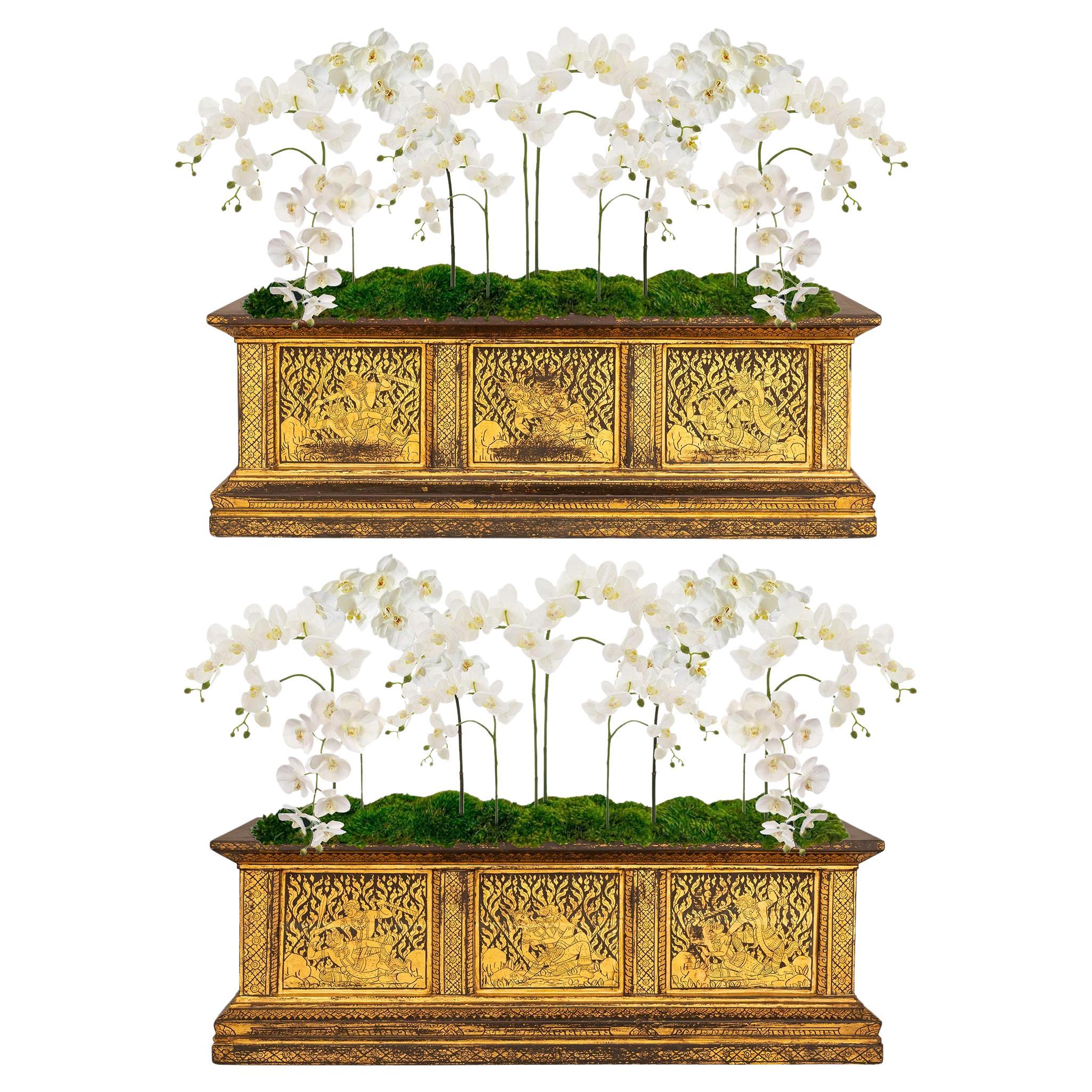 pair of Continental 19th century black Lacquer and Giltwood planters For Sale