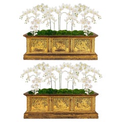 pair of Continental 19th century black Lacquer and Giltwood planters