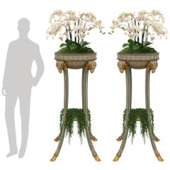 pair of Continental 19th century Louis XVI st. patinated and Giltwood planters