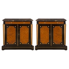 Antique Pair of Continental 19th Century Neoclassical Style Cabinets