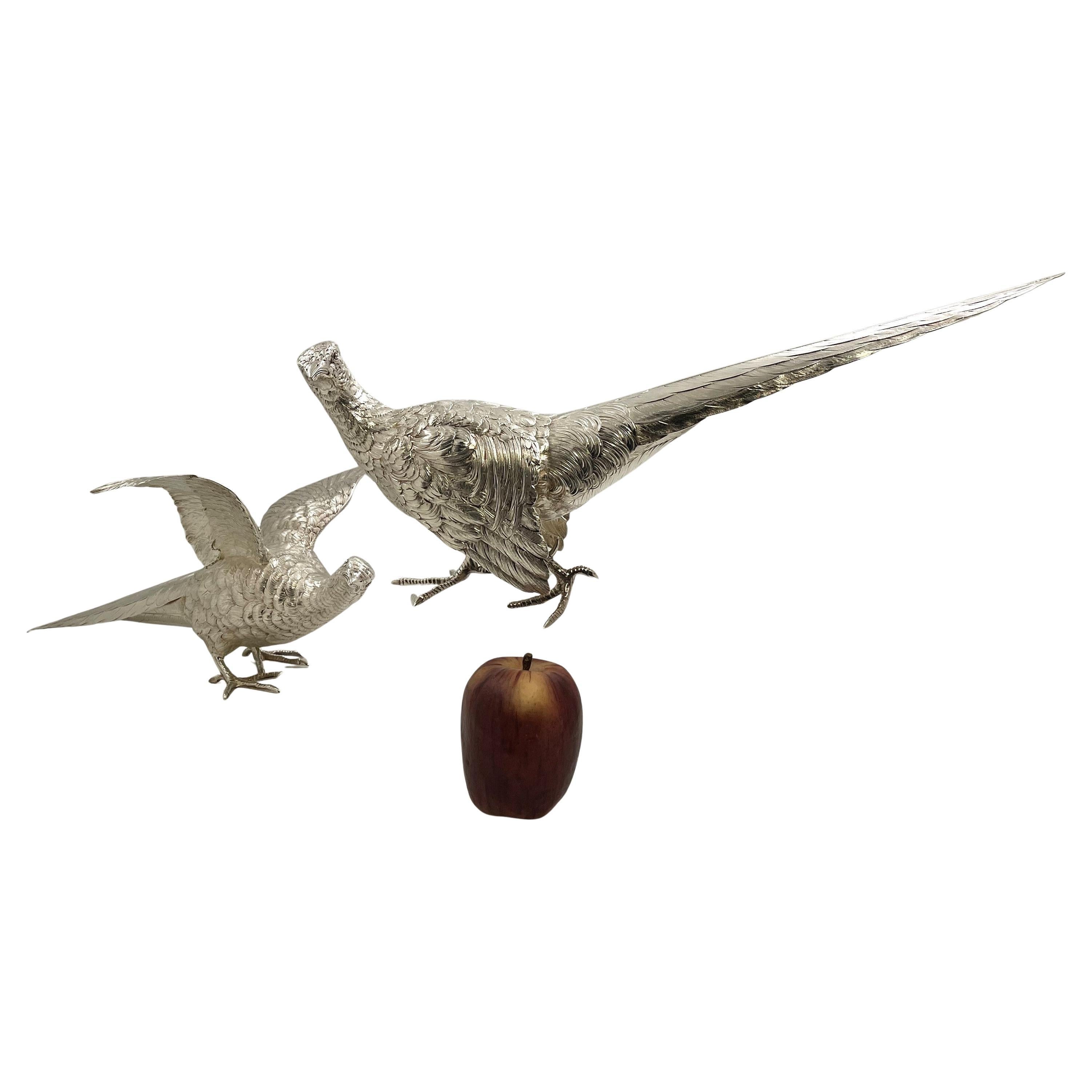 Pair of Continental Silver Pheasants from 19th or Early 20th Century