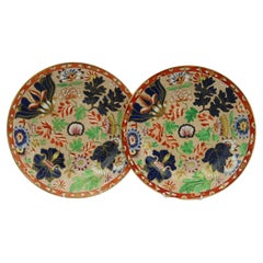Pair of Copeland and Garrett hand coloured plates