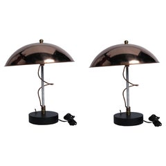 Pair of Copper and Iron Mid Century Modern Table Lamps