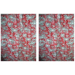 Antique Pair of Cotton Curtains Red Grey Birds and Leaves French Napoleon III