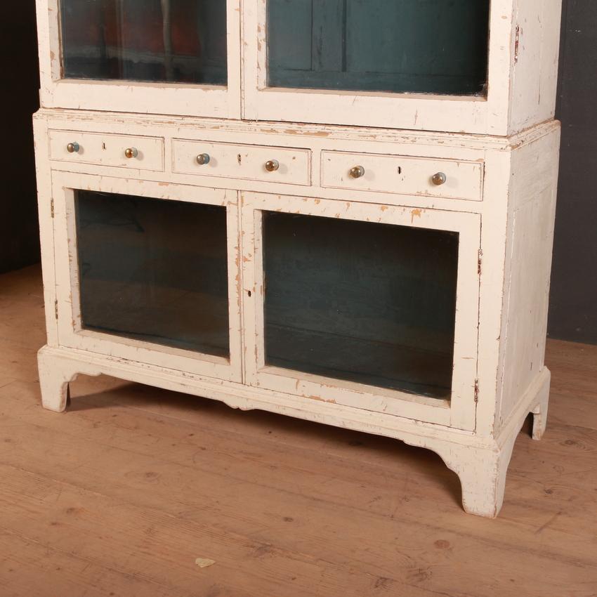 English Pair of Country House Glazed Bookcases