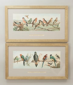 Pair of Cricket Prints, Harry Bright, an English Team and an Australian Eleven