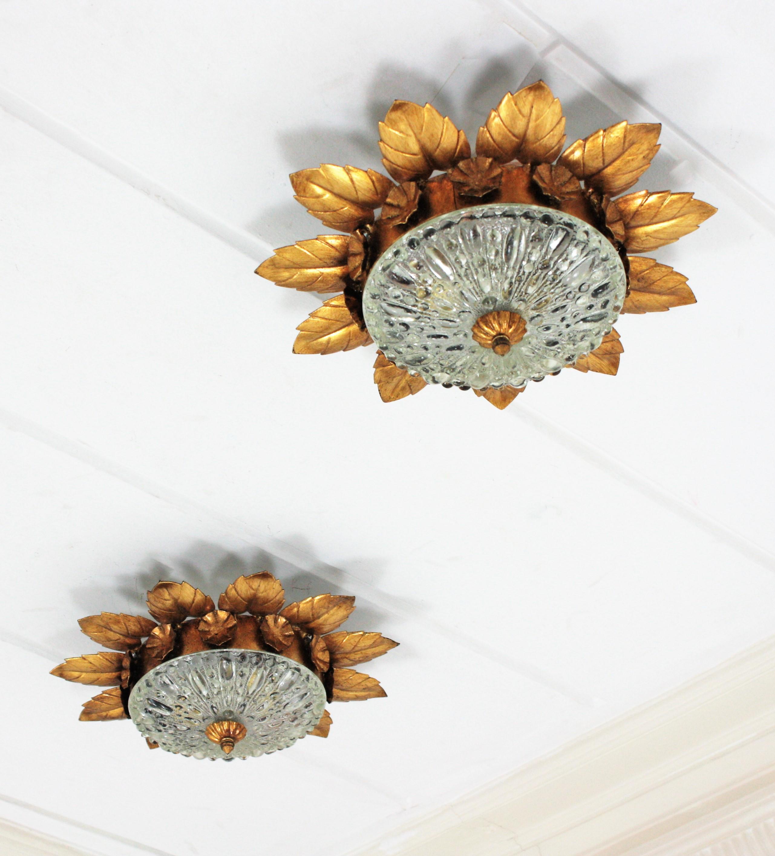 Pair of Sunburst Crown Flower Flush Mounts in Gilt Metal and Pressed Glass For Sale 4