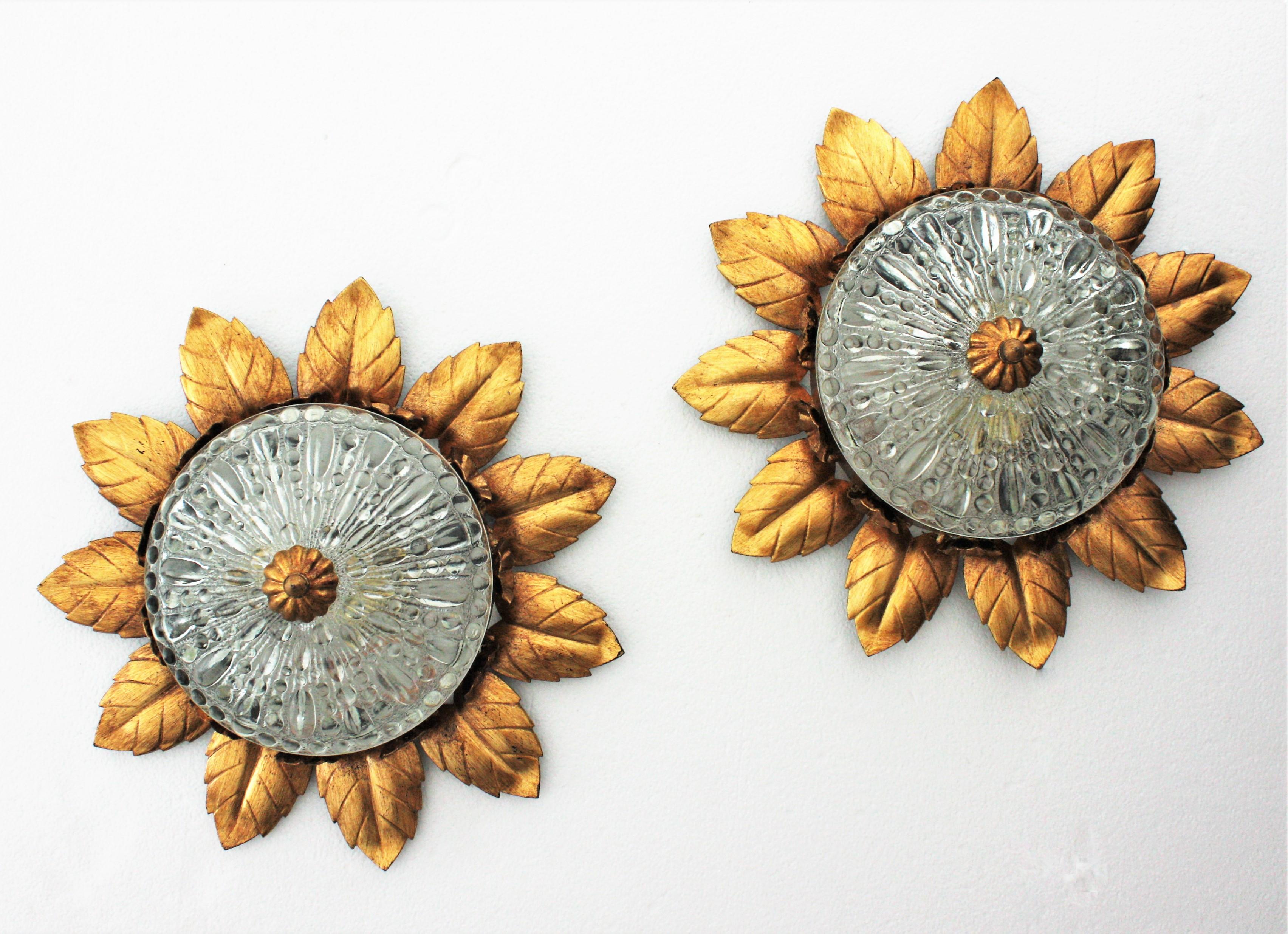 Pair of Sunburst Crown Flower Flush Mounts in Gilt Metal and Pressed Glass For Sale 7