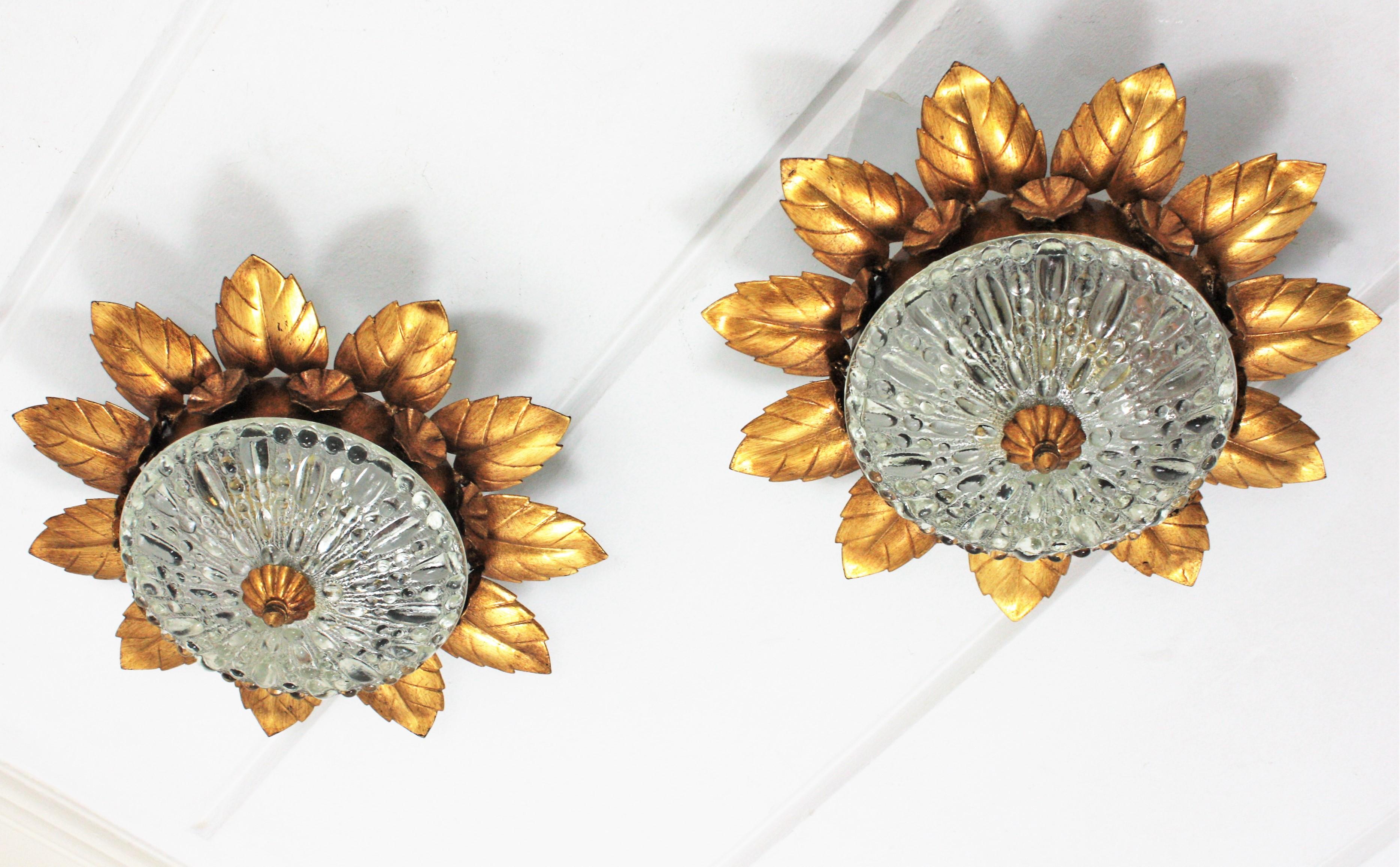 Eye-catching pair of Mid-Century Modern sunburst light fixtures,  Spain, 1950s.
Both pieces feature a gilt iron flower or sunburst crown shaped structure with iron leaves accented by small flowers. They have bubble patterned pressed glass shades