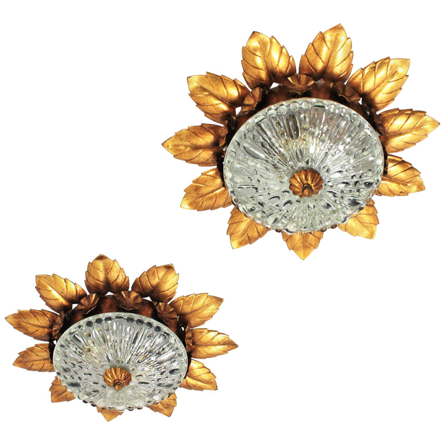 Pair of Sunburst Crown Flower Flush Mounts in Gilt Metal and Pressed Glass For Sale
