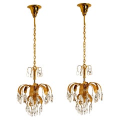Pair of Crystal Glass Gilt Brass Chandelier by Palwa, 1960s