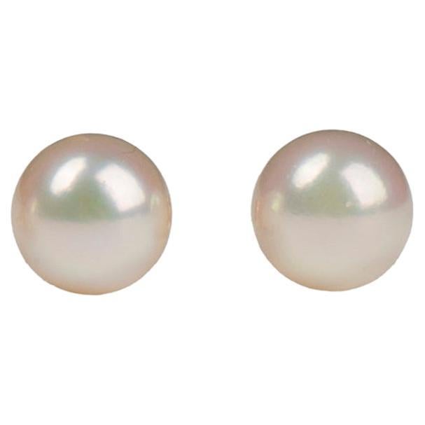 Pair of Cultured Pearl Gold Earrings, 7.0 mm