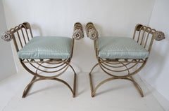 Pair of Curule Form Benches