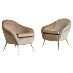 Pair of Curved Lounge Chairs in Champagne Velvet in the Style of Gio Ponti