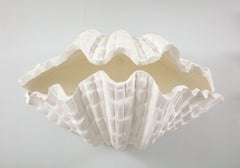 Pair of Custom Coquillage Plaster Sconces