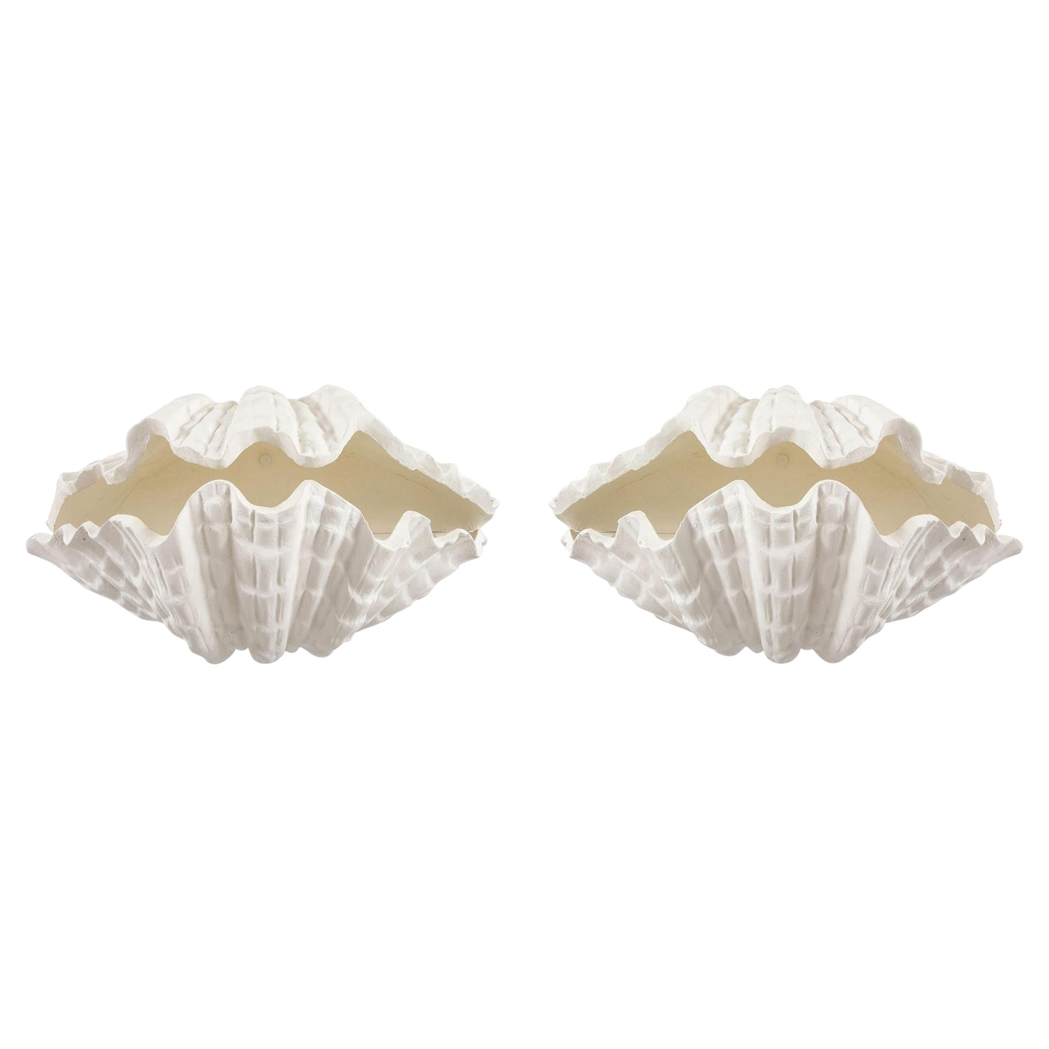 Pair of Custom Coquillage Plaster Sconces