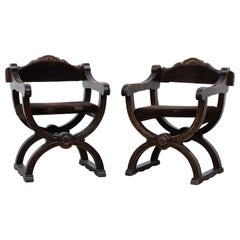 Pair of Dagobert Empire Style Arm Chairs