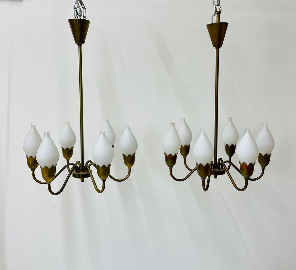 Pair of Danish Mid-Century Modern Tulip Form Chandeliers / Pendants, Opal Glass
 
Chic set of two pendants or chandeliers designed and produced in Denmark. Having six tulip form opaline glass bulbs sitting on organically shaped brass arms. 
 
Opal