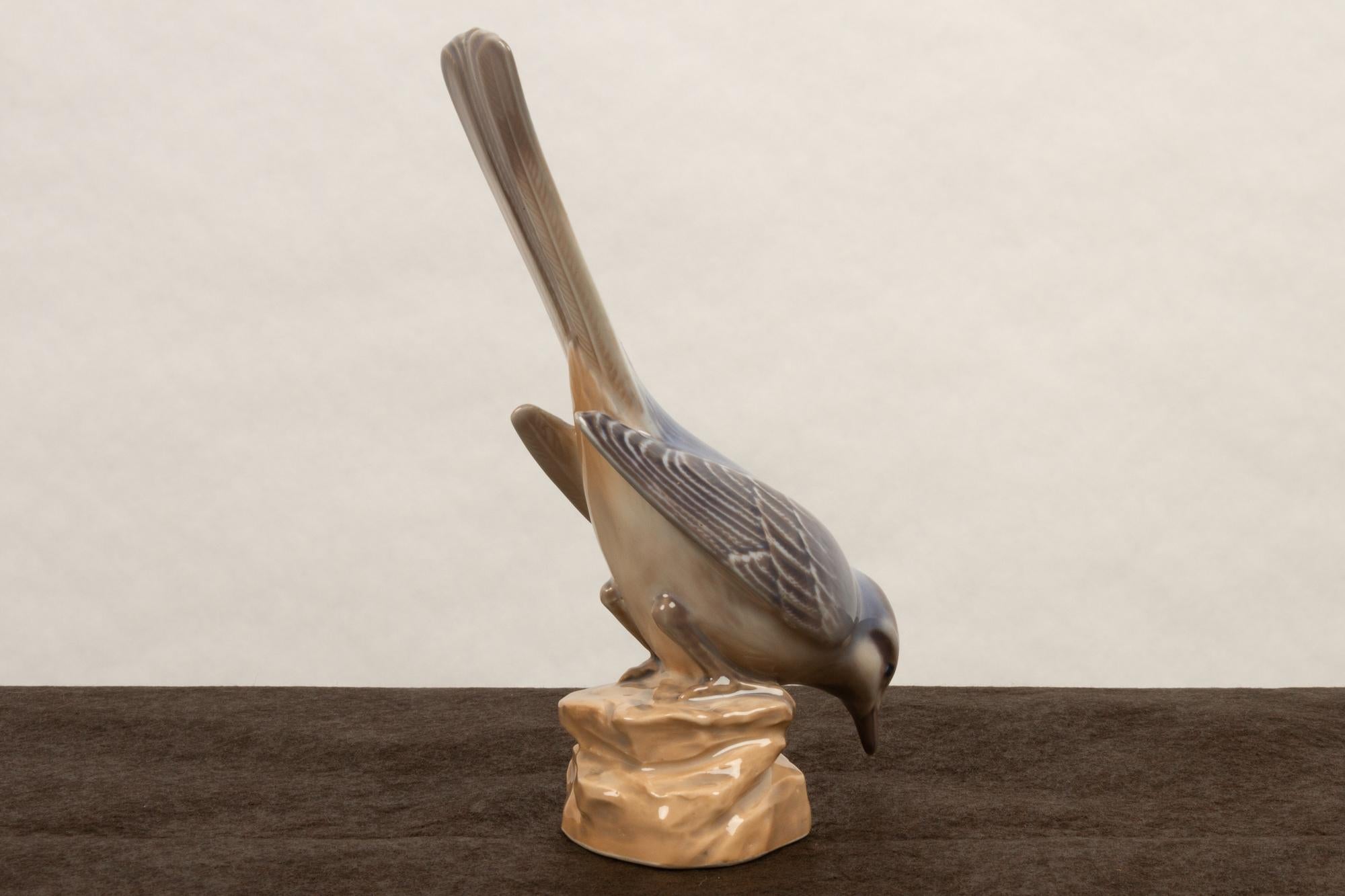 Pair of Danish Porcelain Birds by Dahl Jensen, 1930s 1