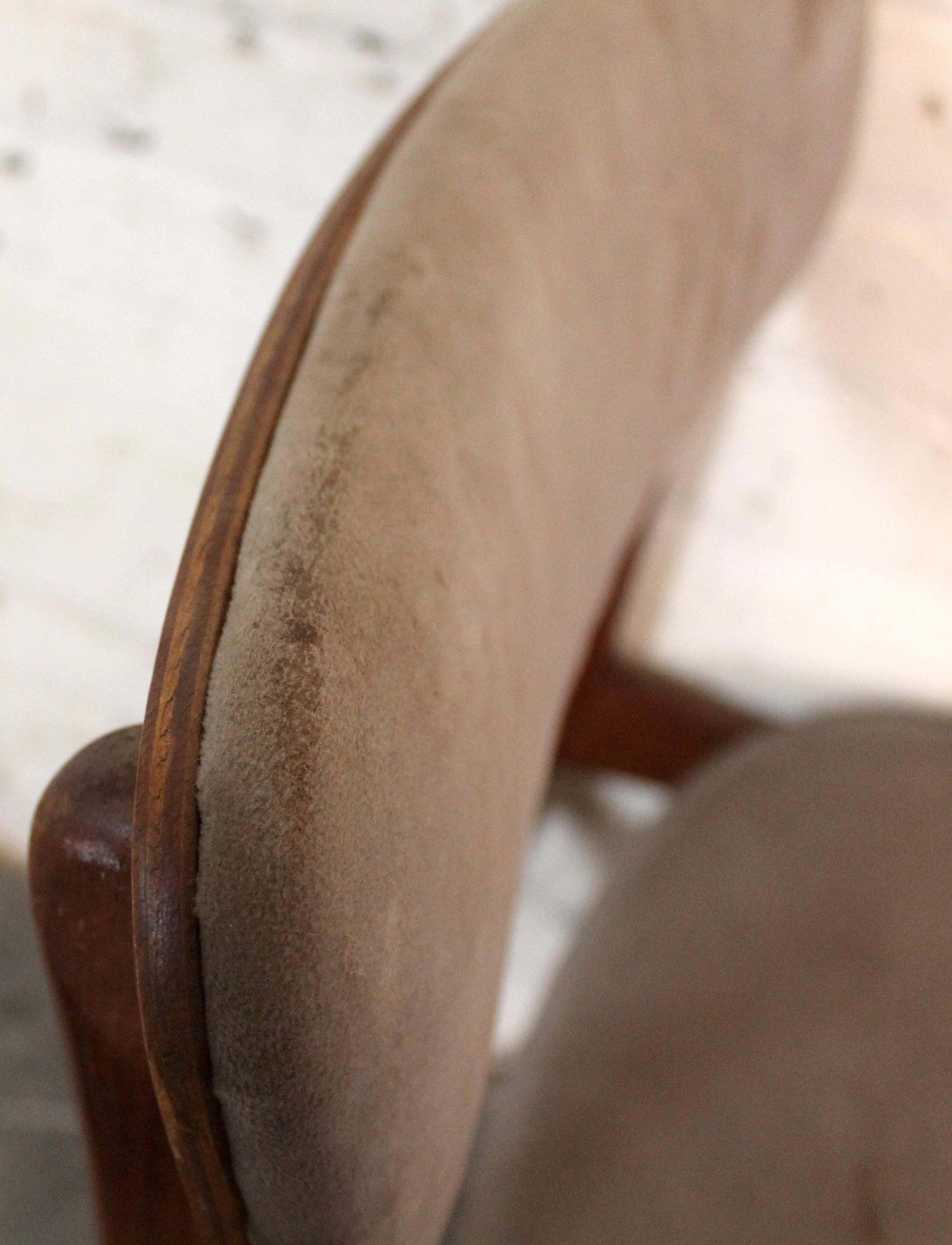 Paire de chaises de salle à manger danoises en teck par Tarm Stole Møbelfabrik en vente 10