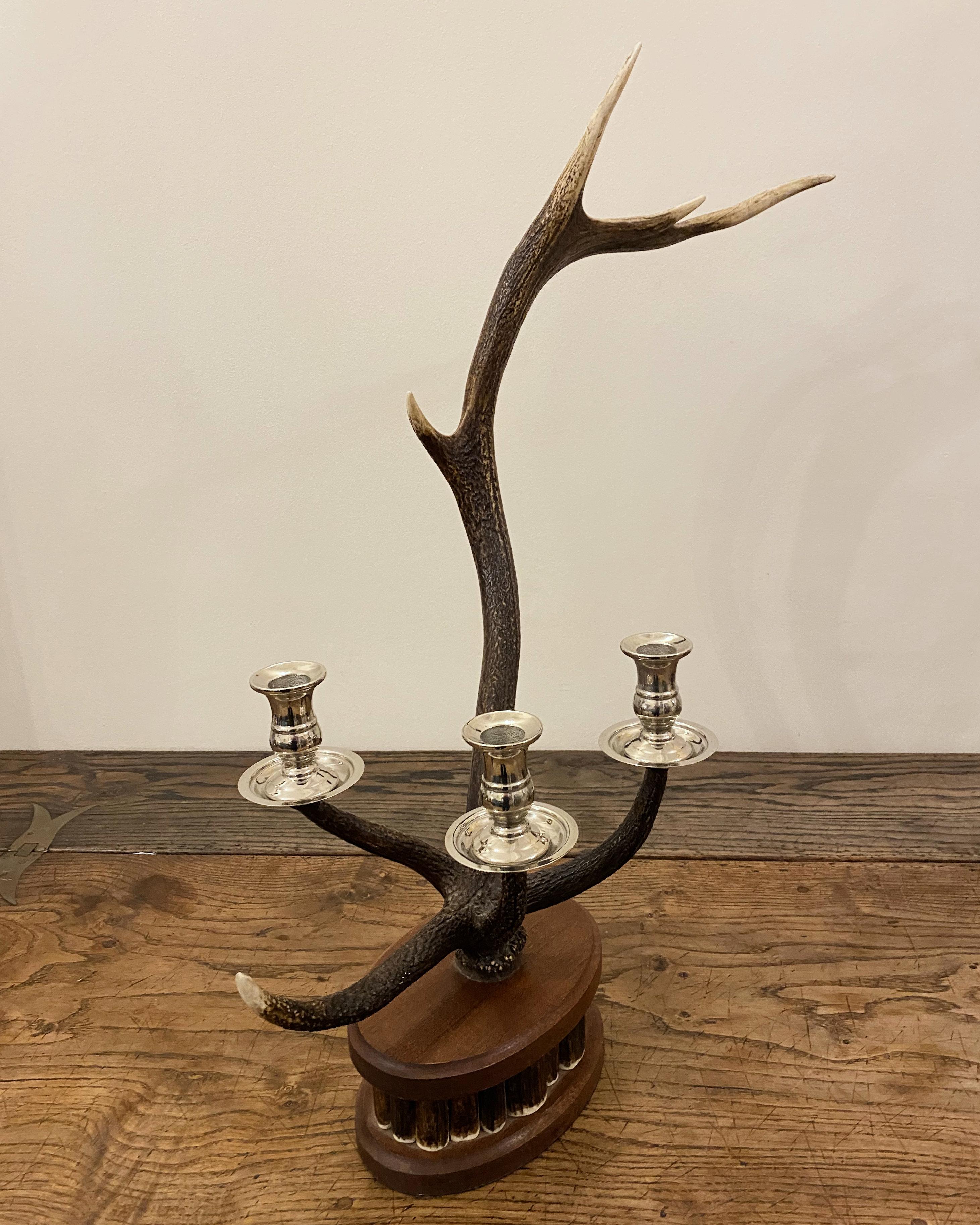 Pair of Dark Red Deer Antler Candlesticks For Sale 4