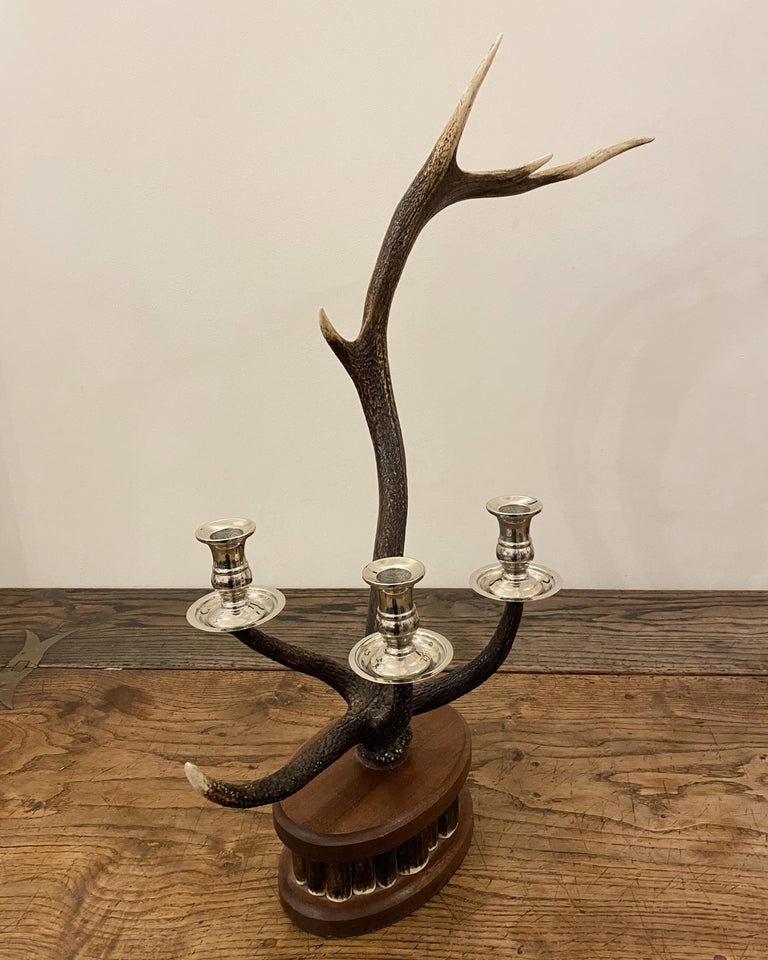 Pair of Dark Red Deer Antler Candlesticks For Sale at 1stDibs