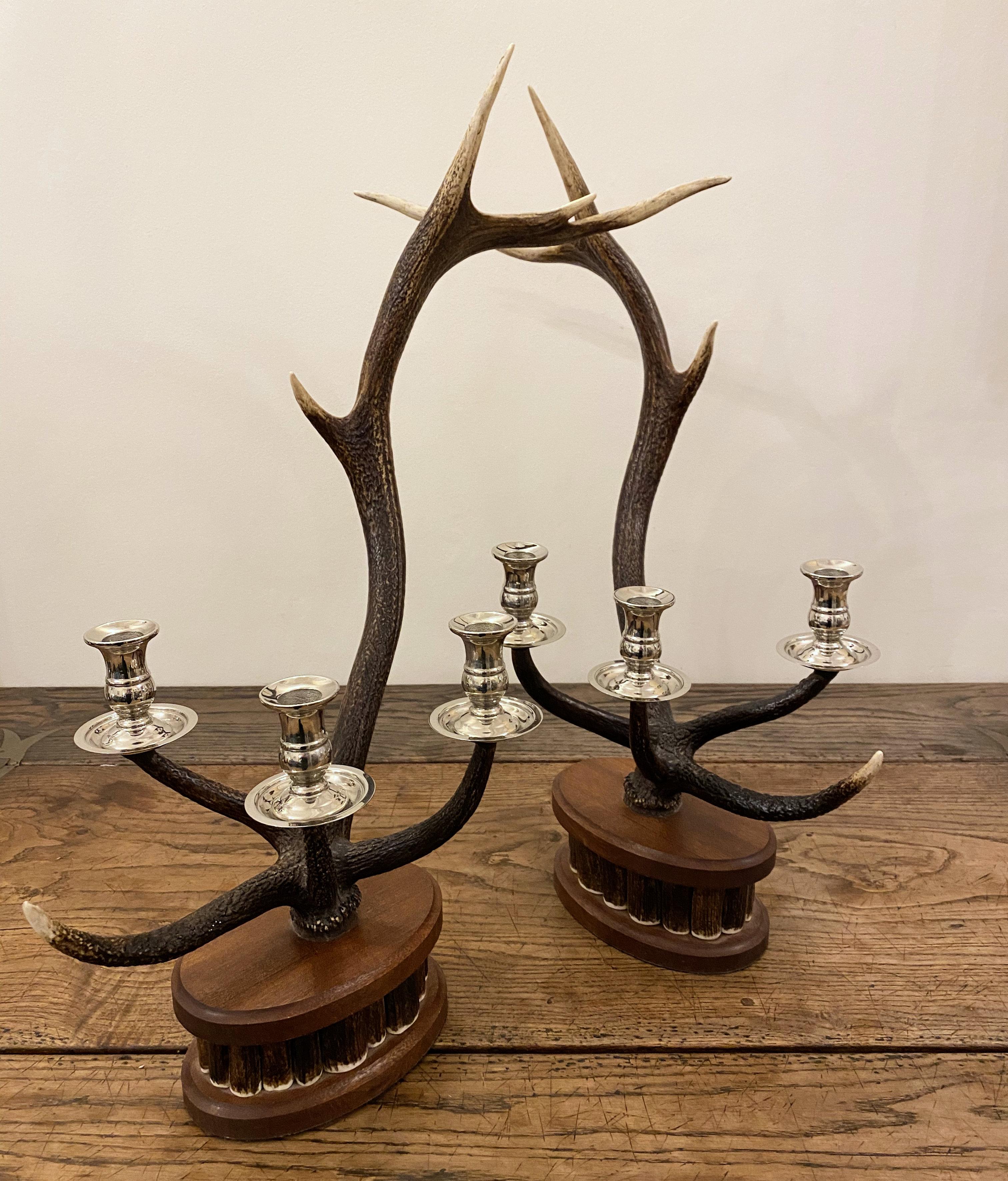 Pair of Dark Red Deer Antler Candlesticks For Sale 7