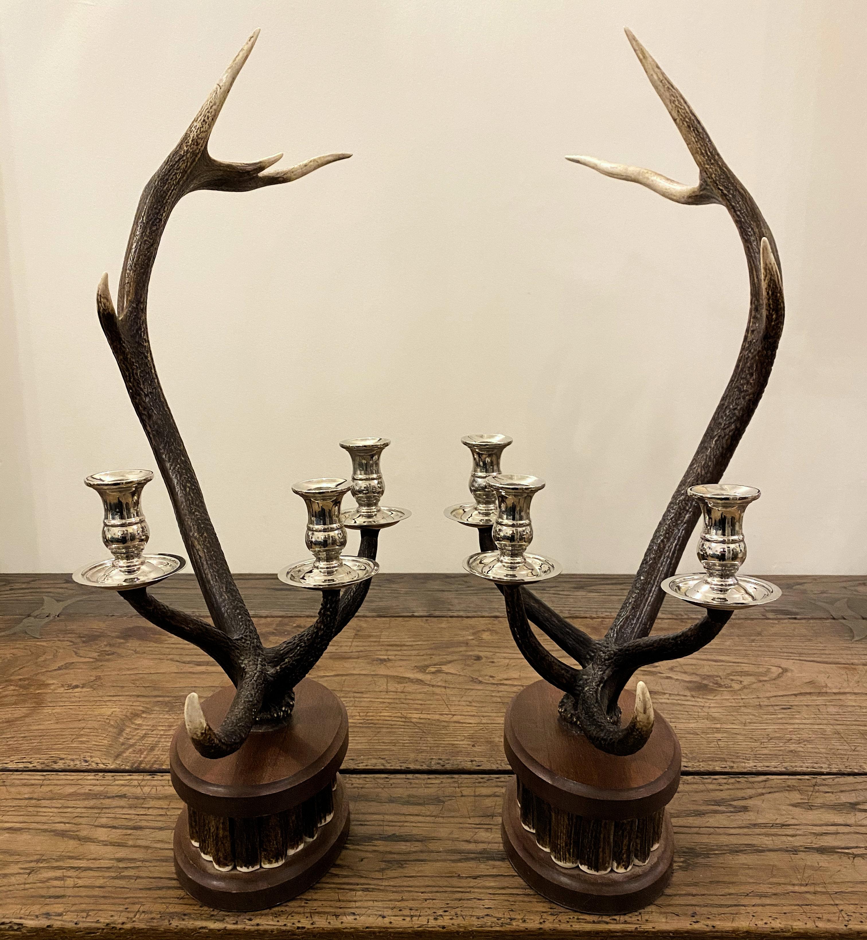 Pair of Dark Red Deer Antler Candlesticks For Sale 11