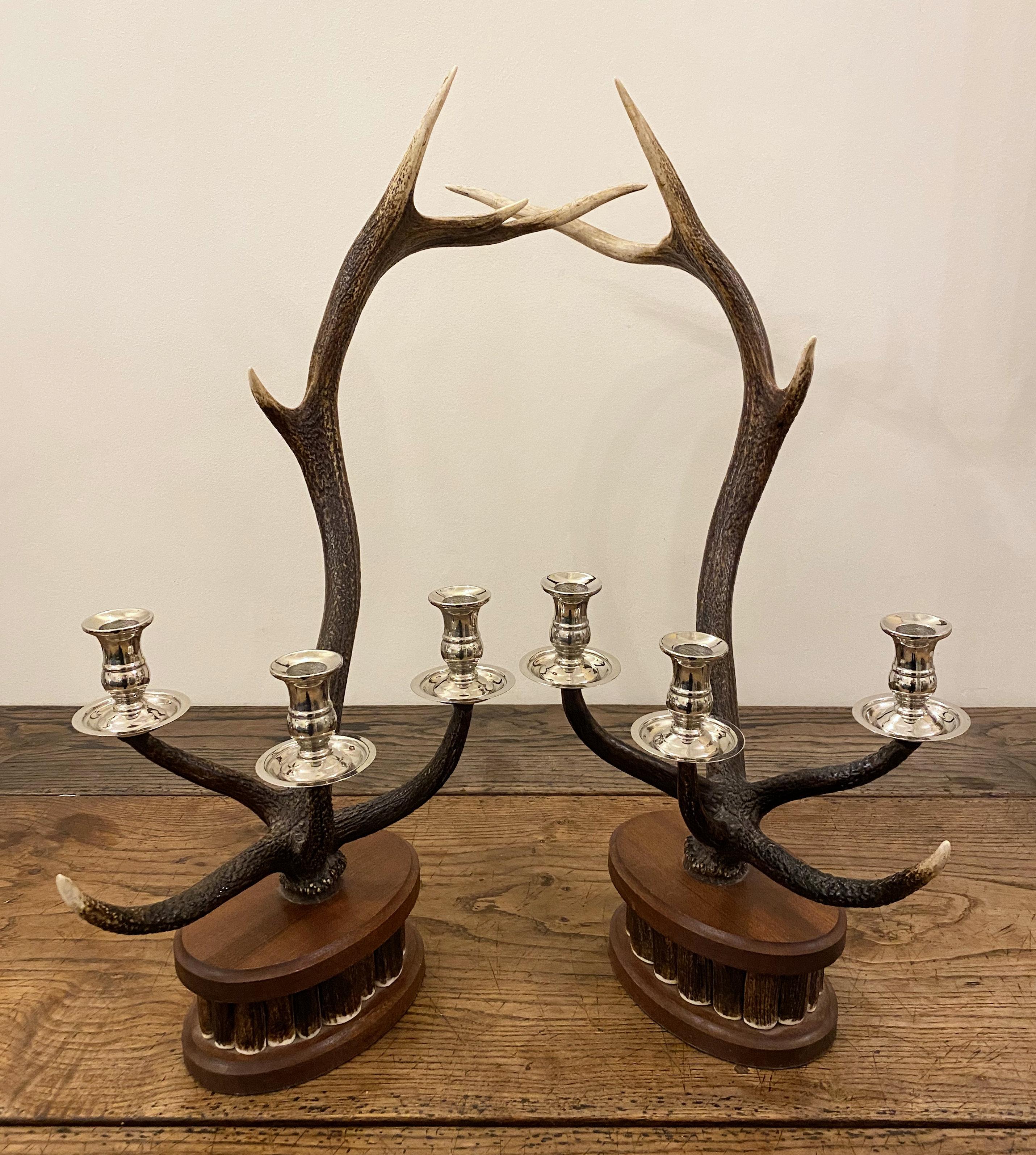 deer antler candle holder